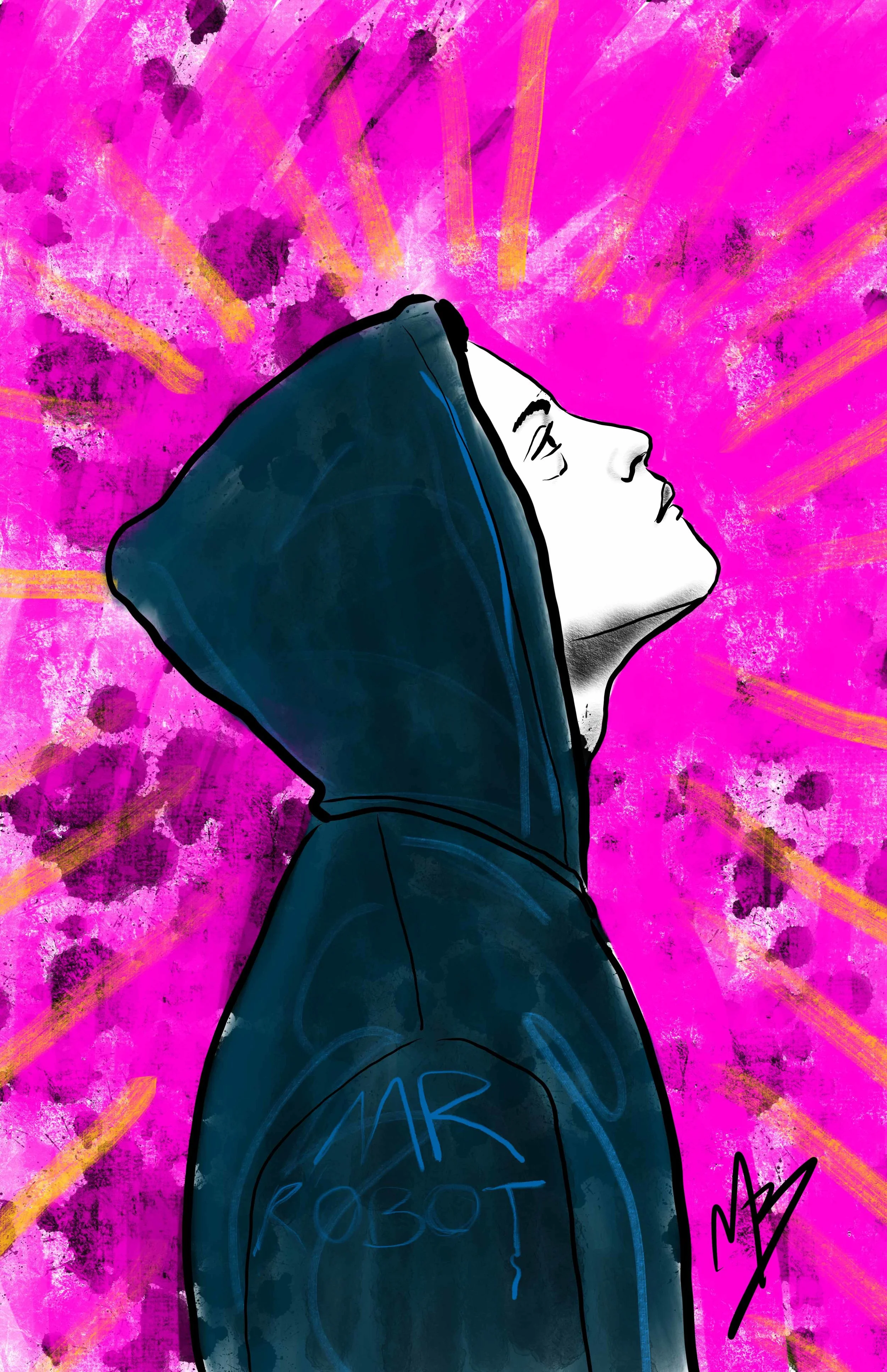 Mrrobot_low.jpg