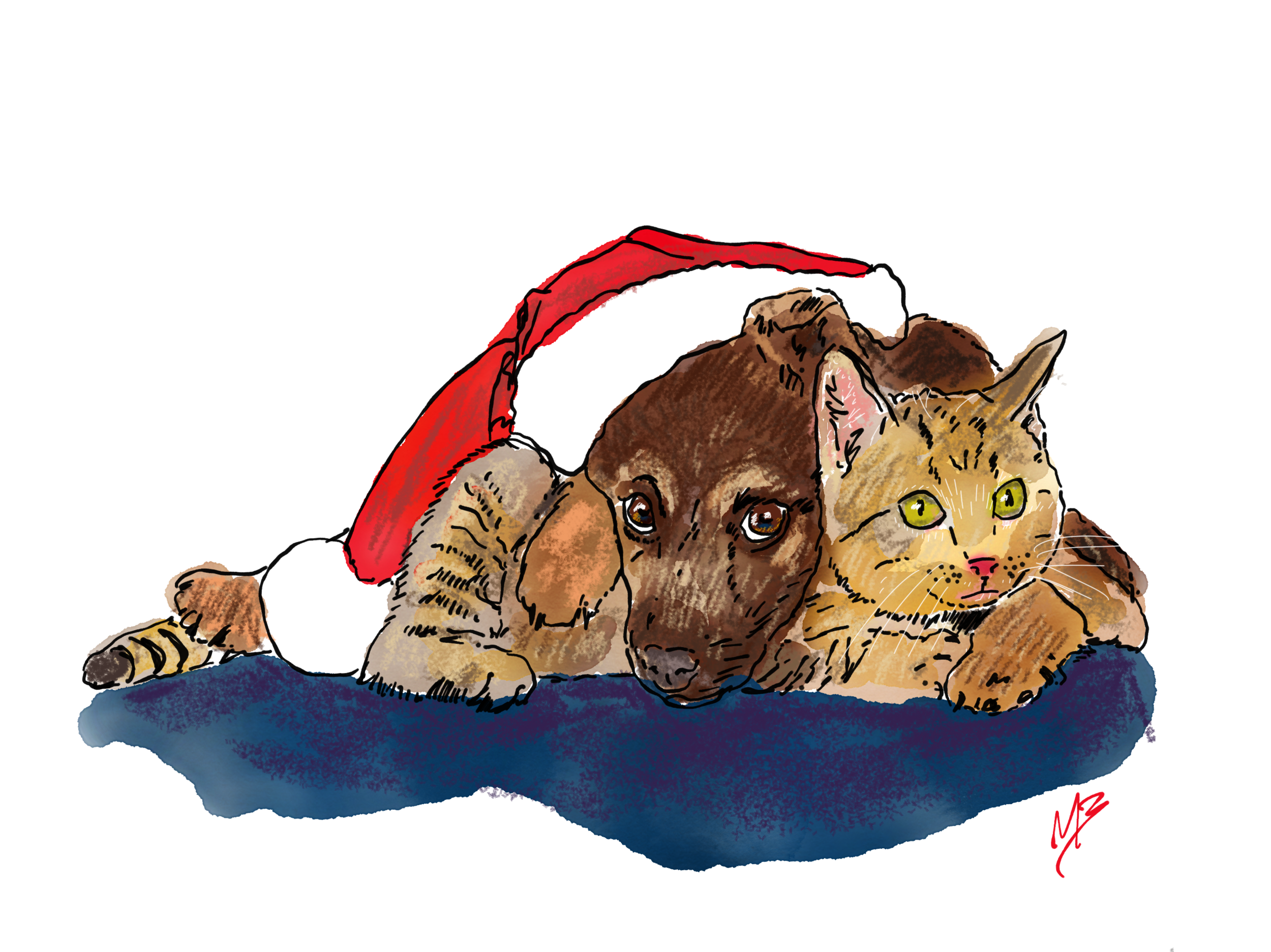 2 Reasons Why Pet Portraits Make the Ultimate Holiday Gift