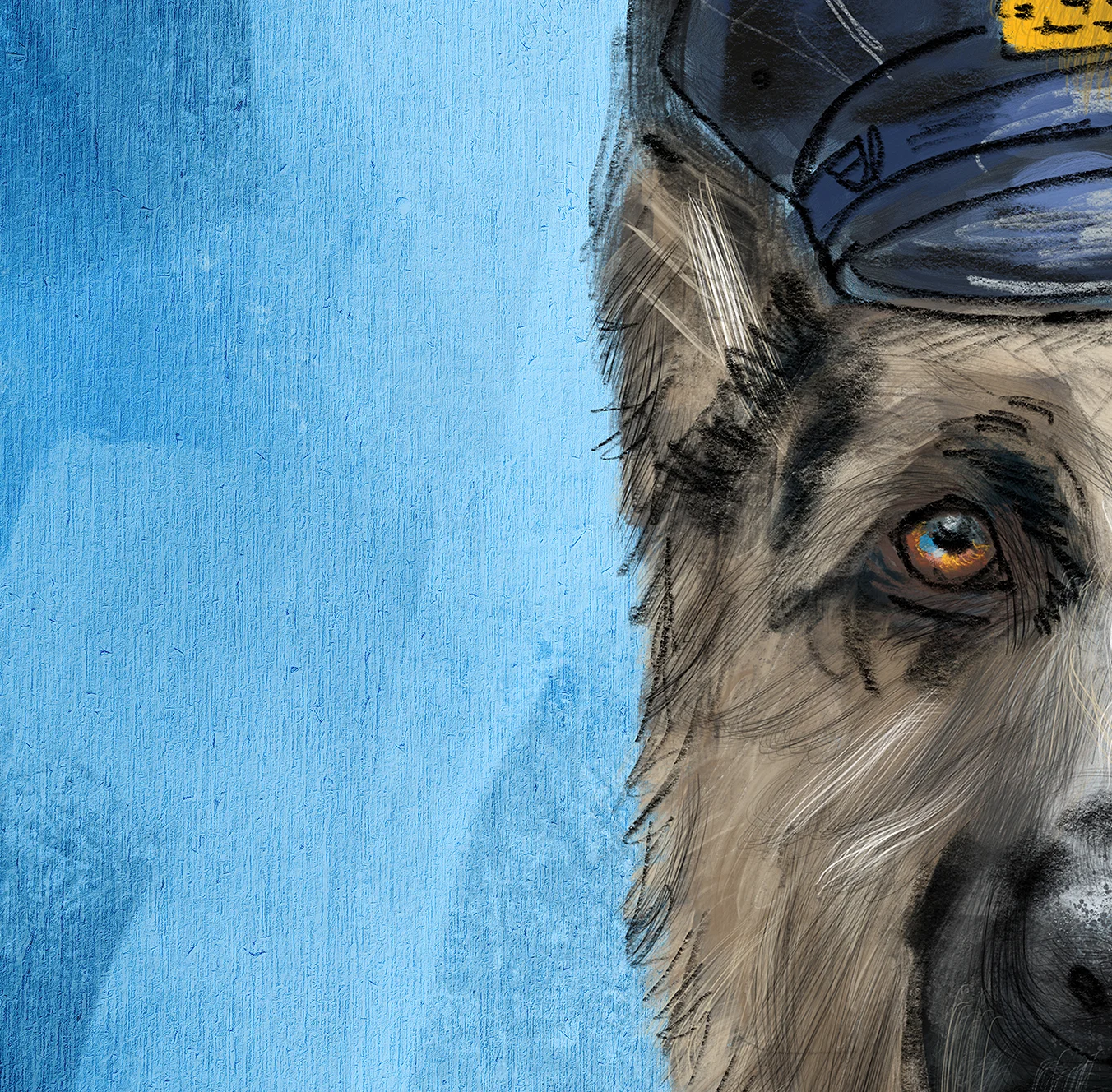 Detail Shot