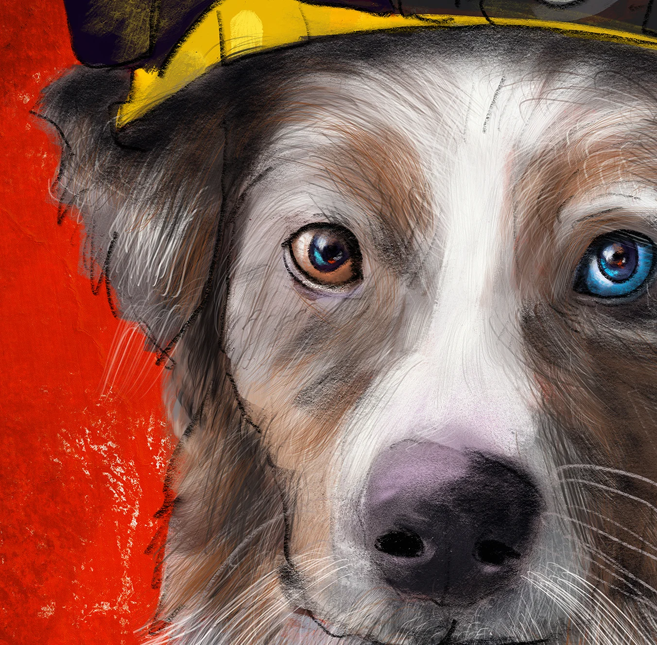 Firefighter dog aussie detail