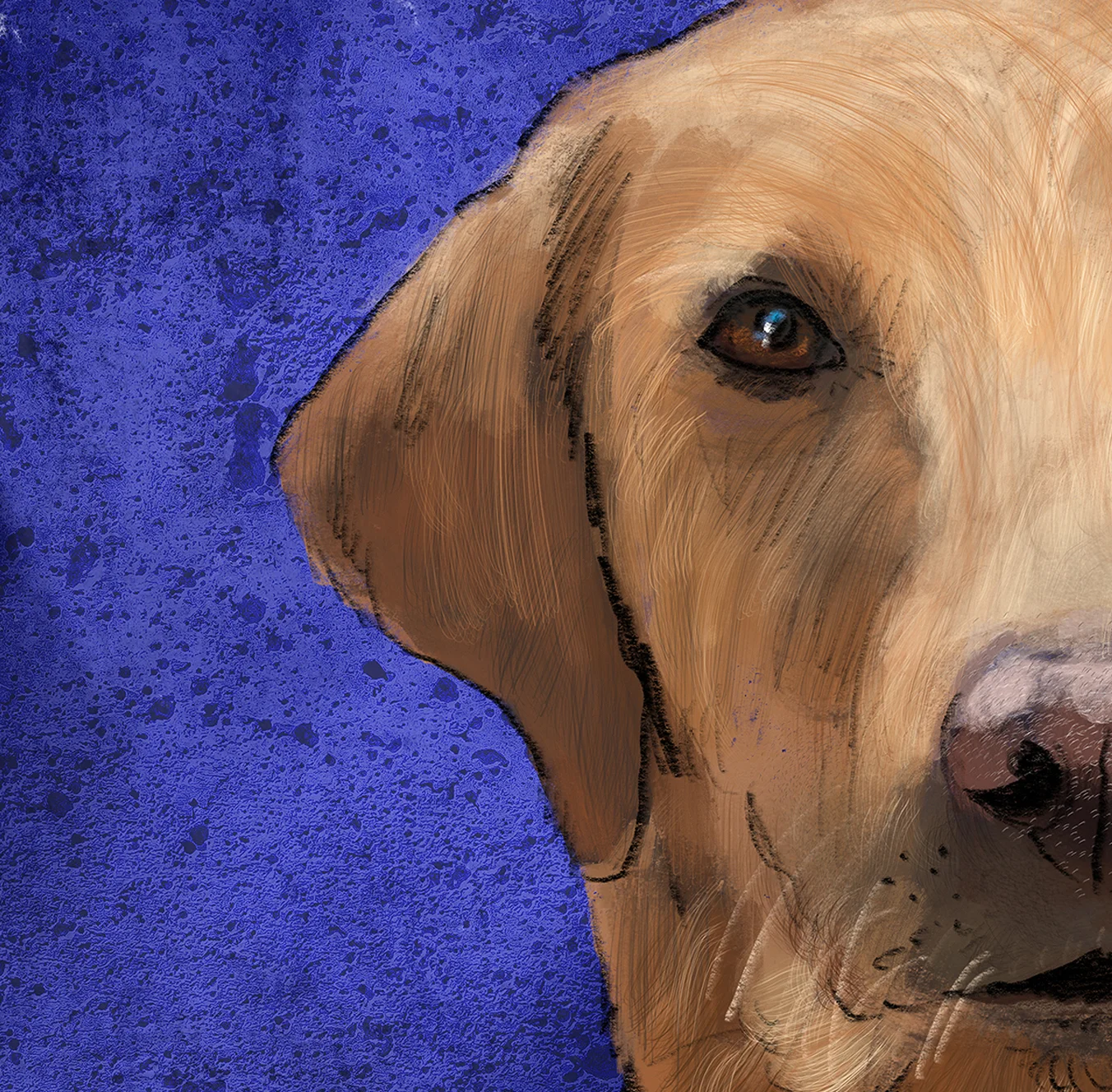 Uniform Pets Doctor Labrador Retriever detail
