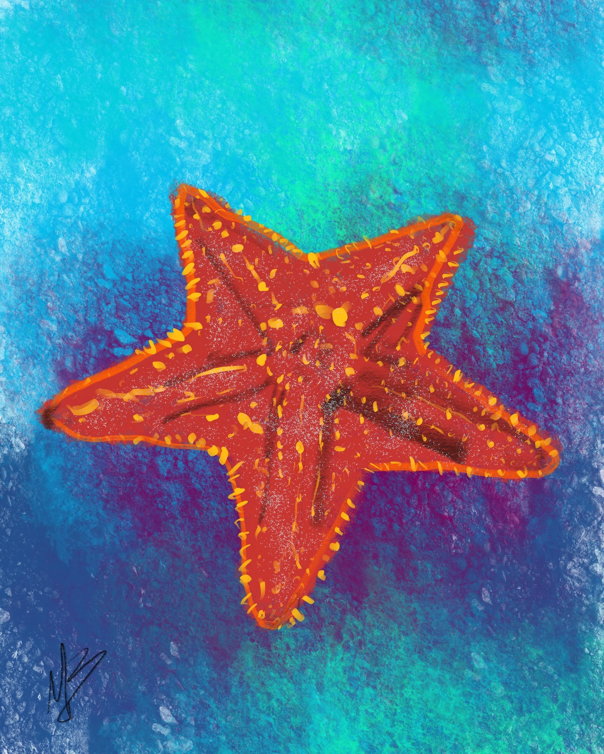 Starfish ⭐️ wish upon it tonight. Inspired by @saav21 #starfish #fish #digitalpainting #digitalart #marinelife #sea #ocean #illustrator #illustration #illustrationoftheday