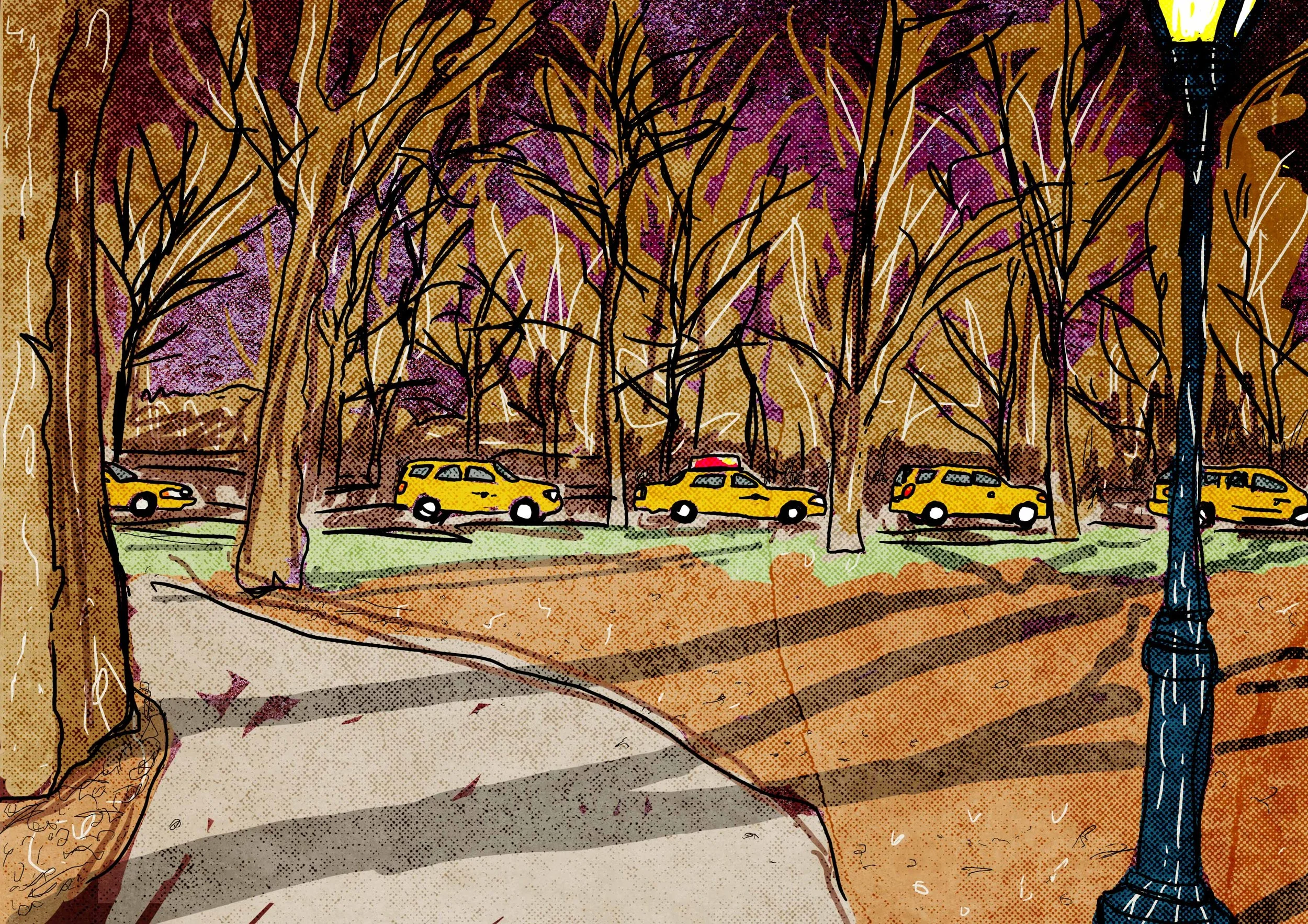 Central Park Taxis