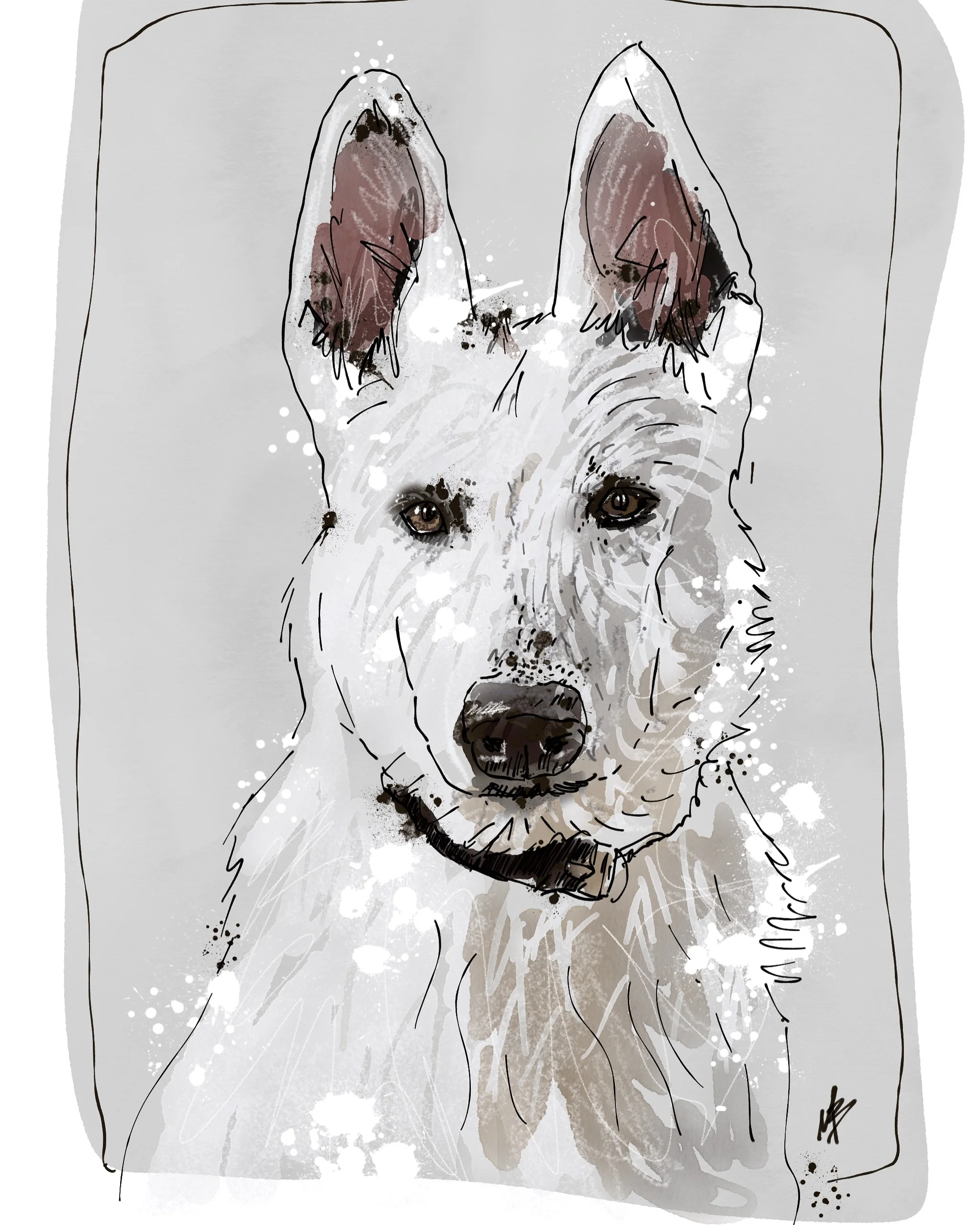 When you just can’t help it cuz you look that good. | art inspired by @gloria_wssd #dog #sketch #art #petportraitartist #petportrait #whiteshepherd #shepherd #shepherdsofinstagram #njartist #dogart