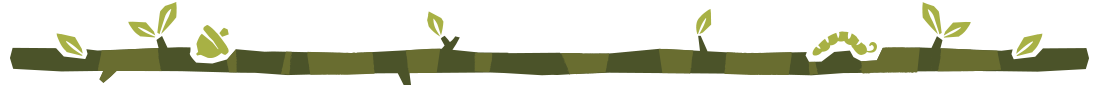 banner2.png