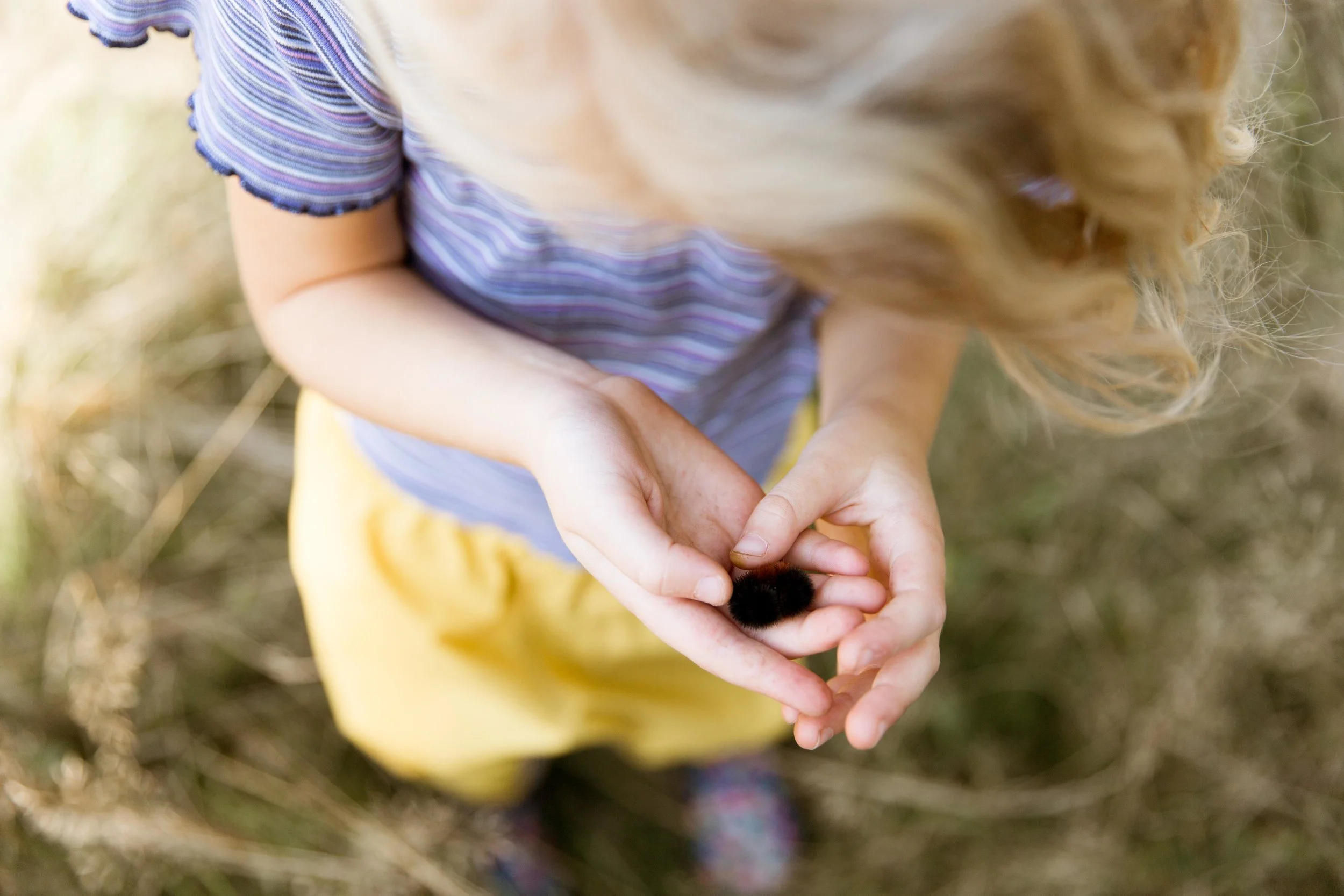 Sienna-Renee-Photography-Nature-Nuts-2909.jpg