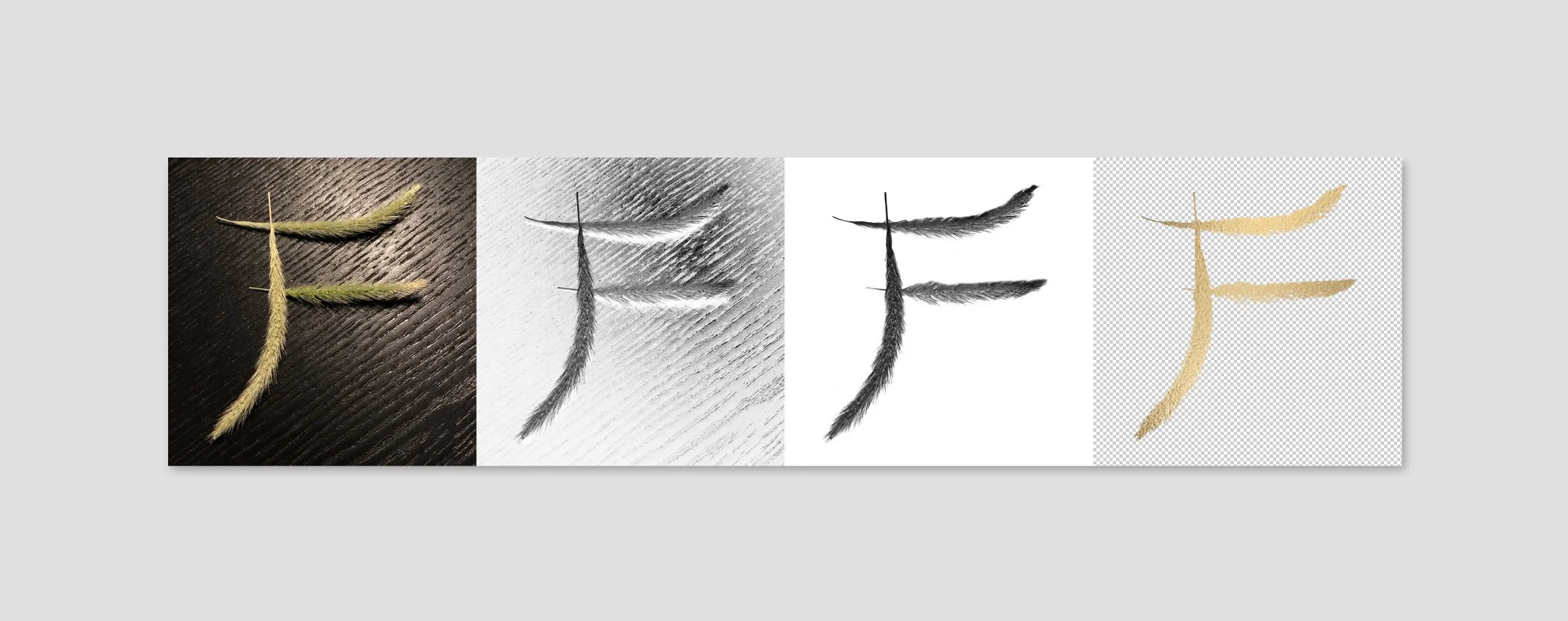 'F'-transition-01 copy.jpg