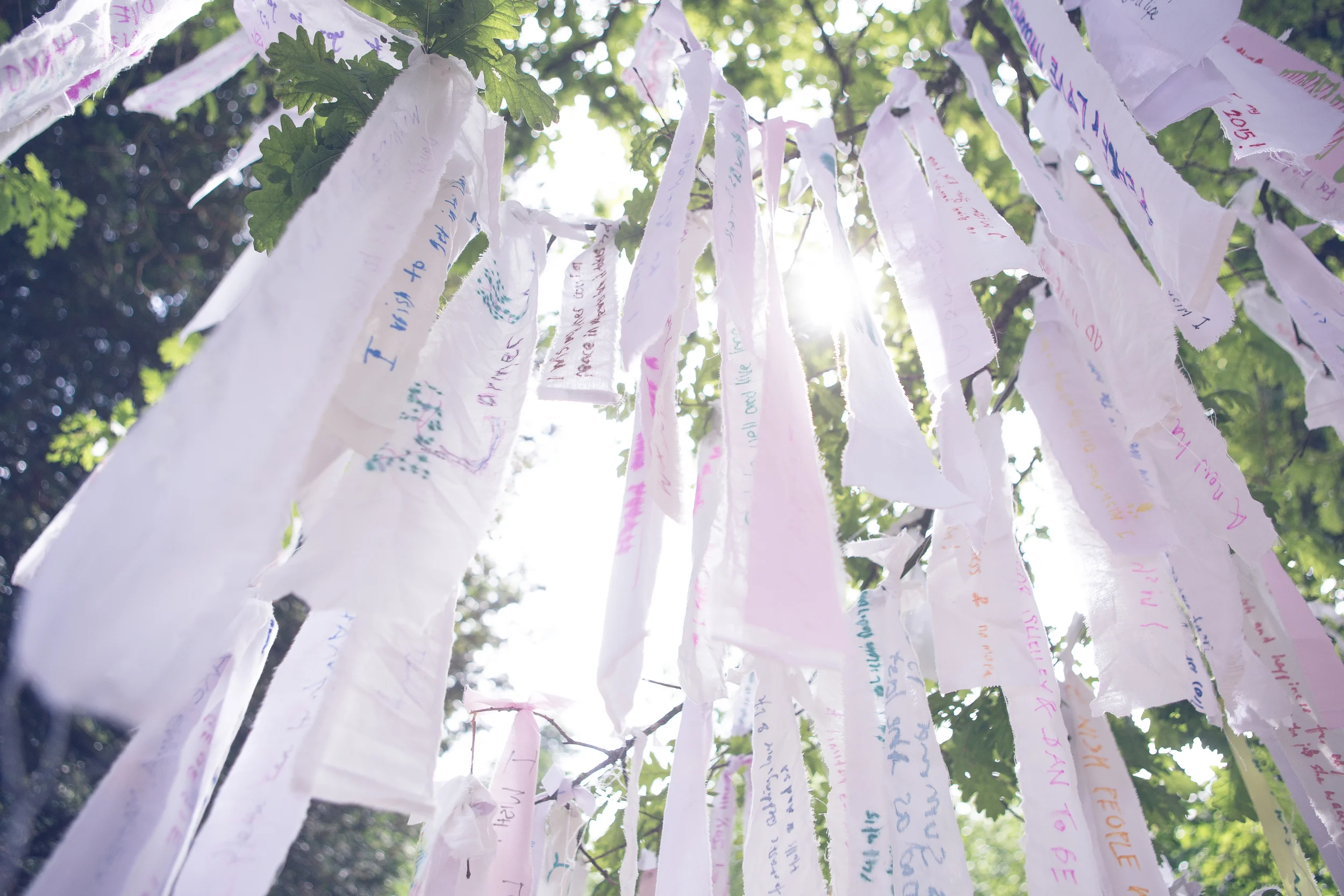 Larmer Tree 2015-183.jpg