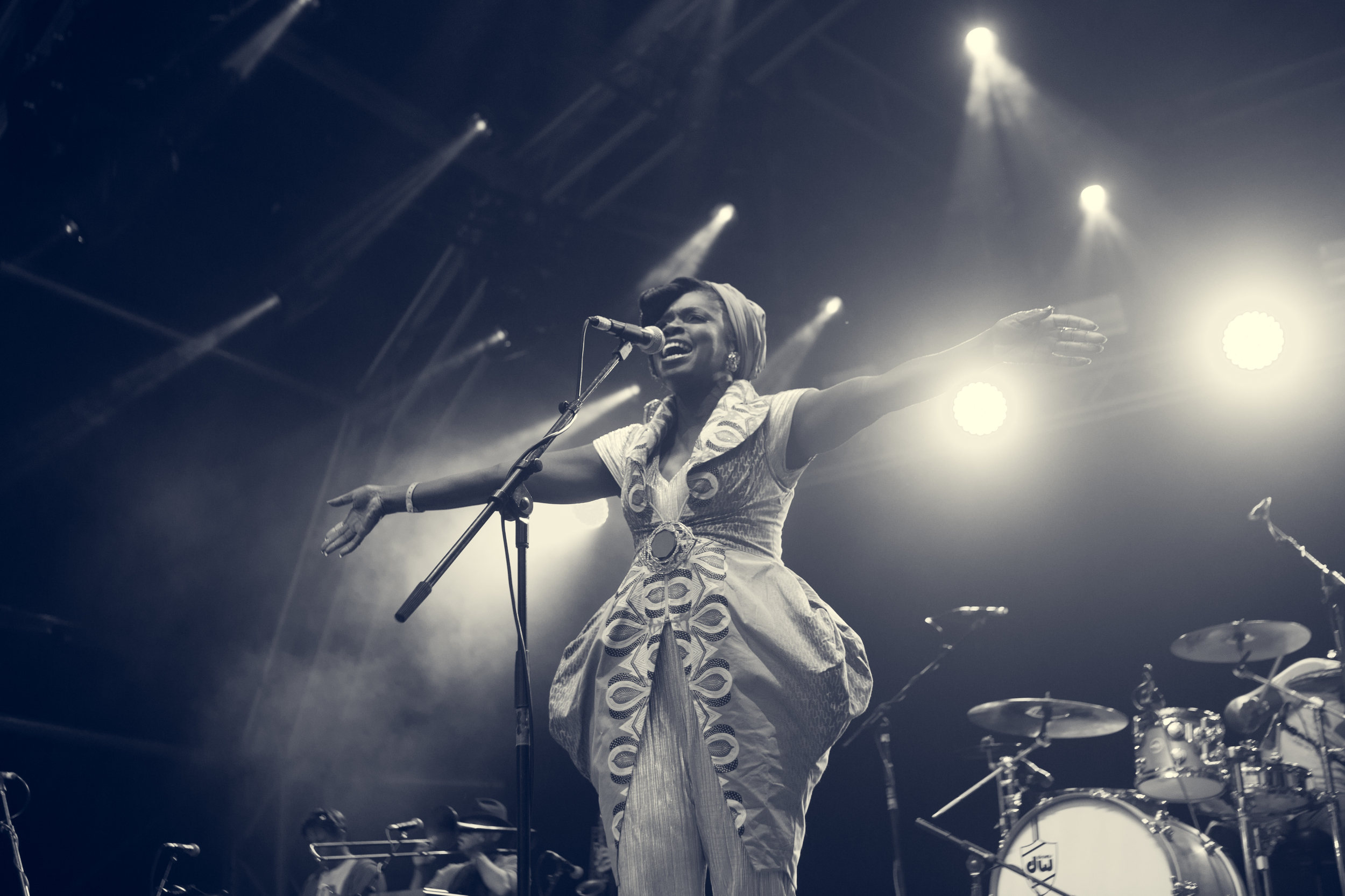 Larmer Tree 2015-249.jpg