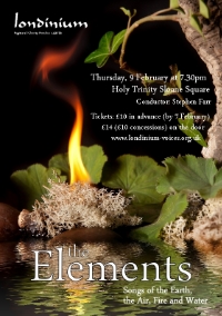 the elements concert image