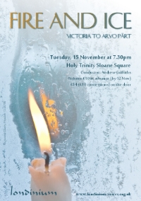 fire and ice concert image