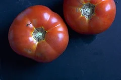 THE BEET: Volume 14, Issue 10