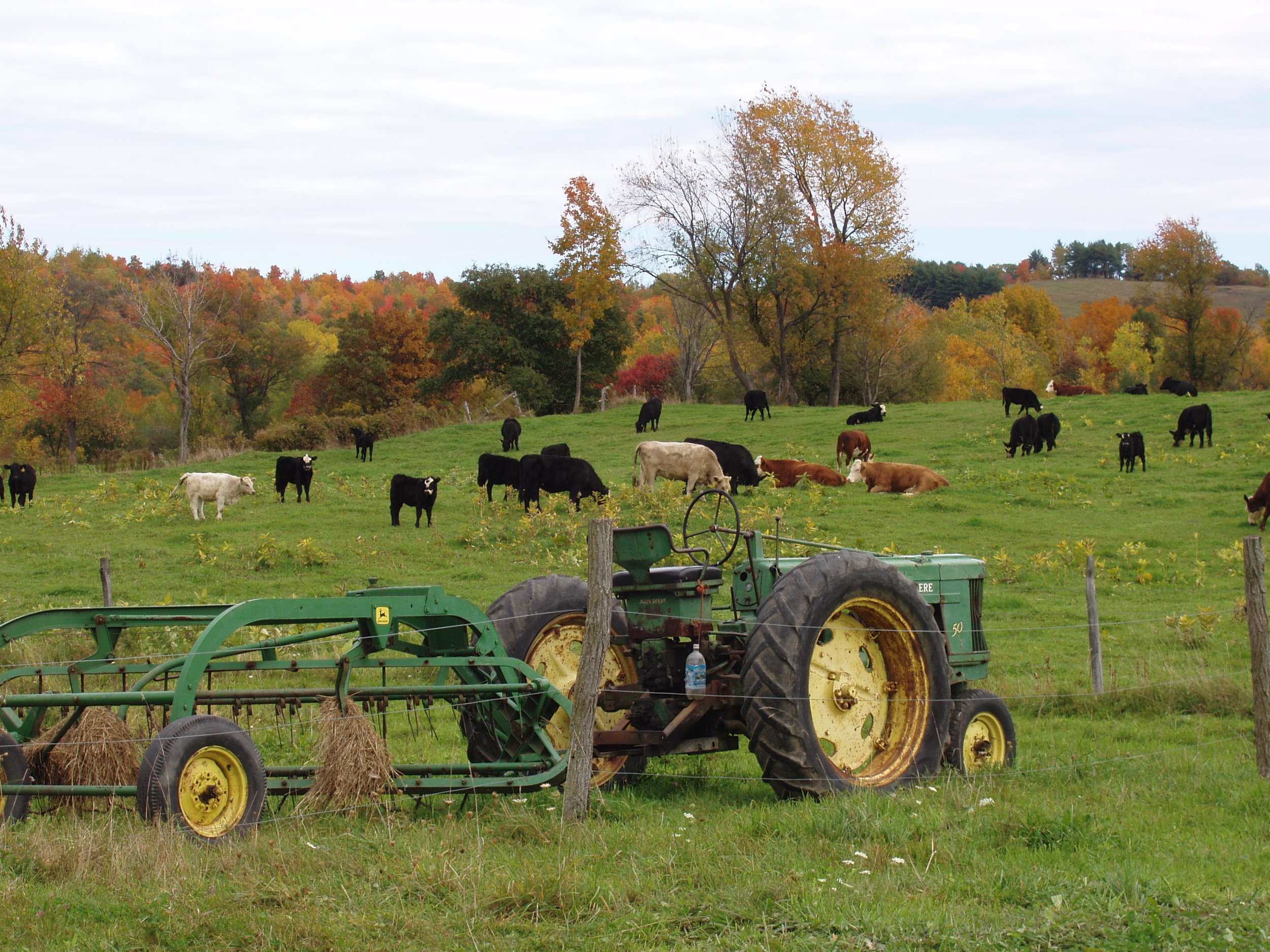 Fall 2004 071.jpg