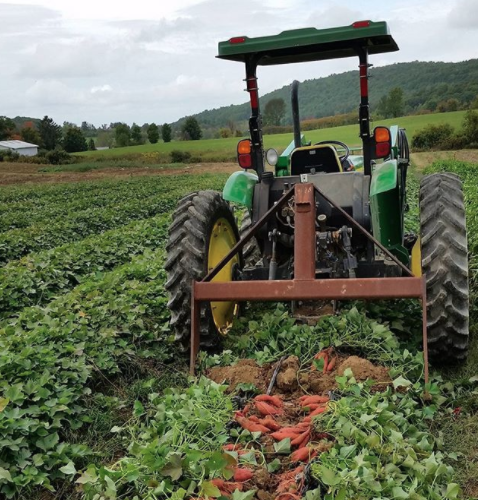 THE BEET: VOLUME 19; WEEK 19