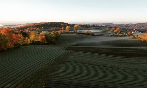 THE BEET: VOLUME 19; WEEK 20