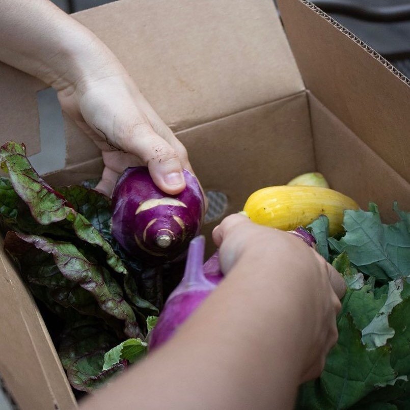 🍅🥒Hi Clinton Hill! Our waitlist is now open for the 2023 season if you&rsquo;re not already a member of the Clinton Hill CSA!

🌽Click the link in our bio to learn more about our income-based membership plans and to sign up.

🥕The 2023 season will