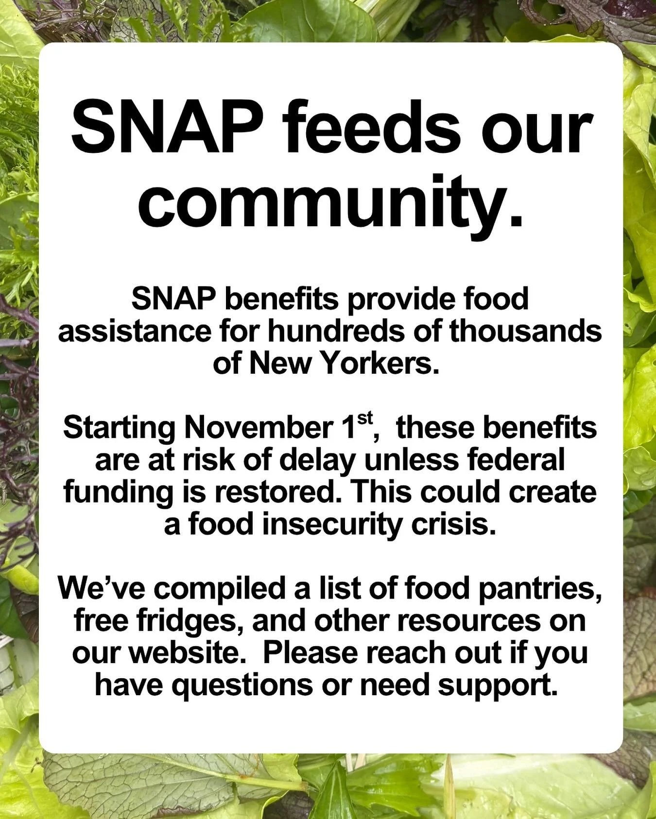 SNAP benefits, which provide food assistance to hundreds of thousands of households across New York City, are at risk of delay starting November 1st unless federal funding is restored, creating potential a food insecurity crisis in our communities.

