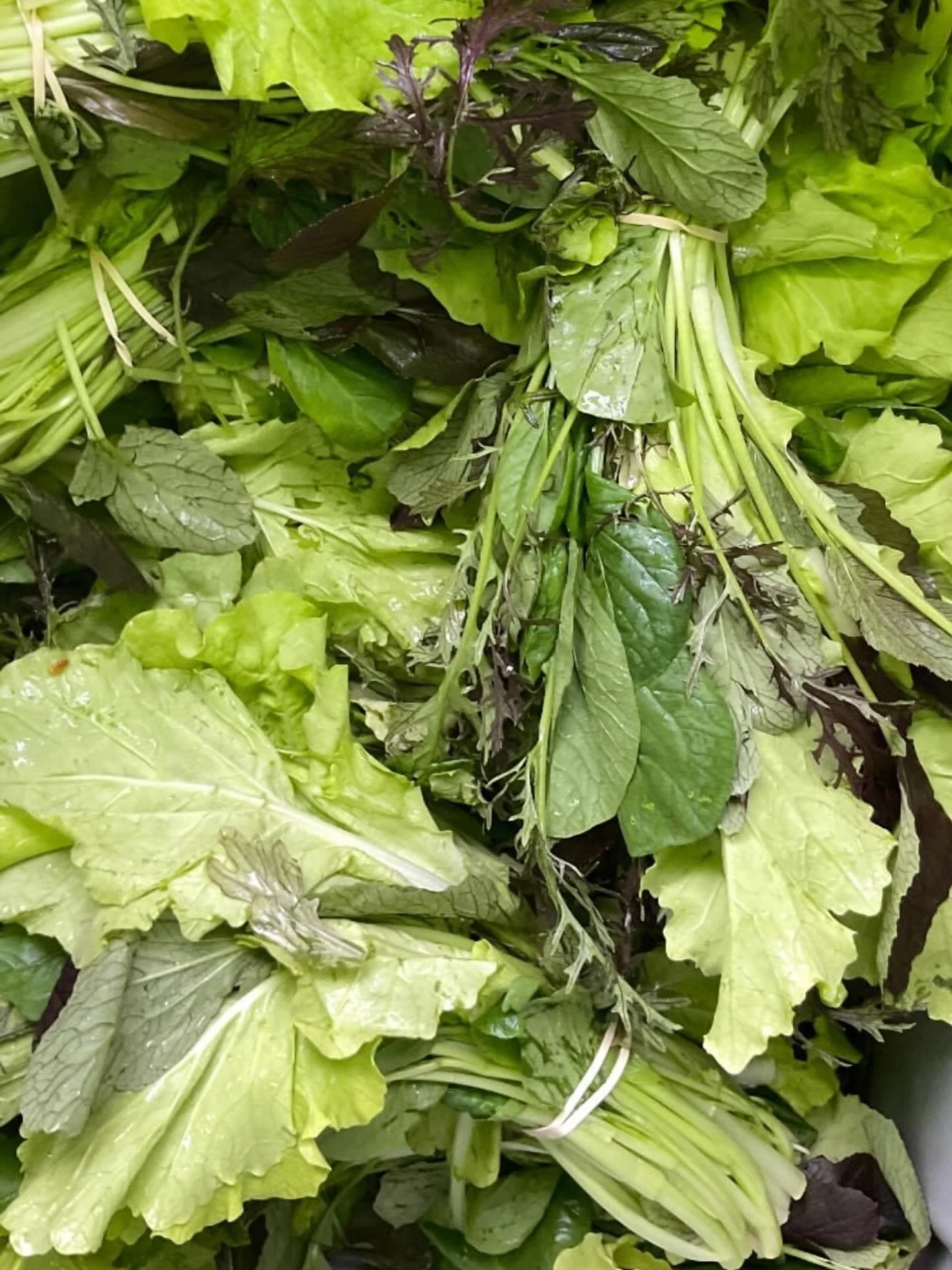 As we tiptoe into October and the last few weeks of the CSA season, we still have something to look forward to: our legendary end-of-season Halloween potluck! 🎃 This year, the party will be on our last pickup, on October 30th, and one day before Hal