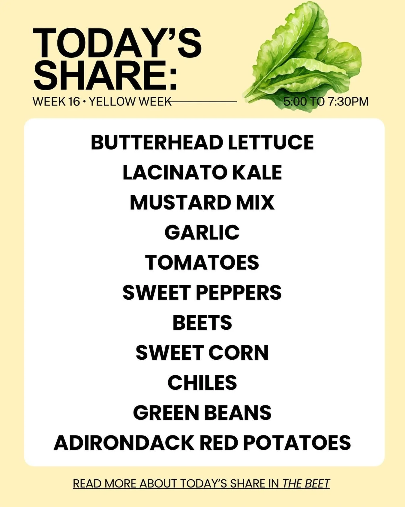 🍐 Today&rsquo;s fruit share is Bartlet pears

🌟 Submit your recipes! As we move into the final six weeks of our summer season, we want to know what you&rsquo;ve been cooking with your Windflower fruits and veggies! Your recipe may be featured in th