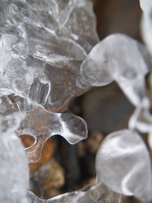 ICE.jpg