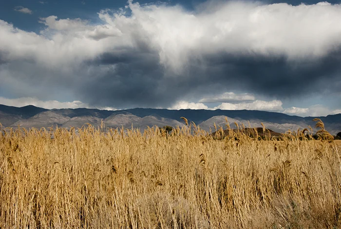 Storm on the Plain flat.jpg