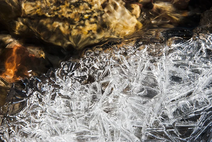 Crystals Alive.jpg