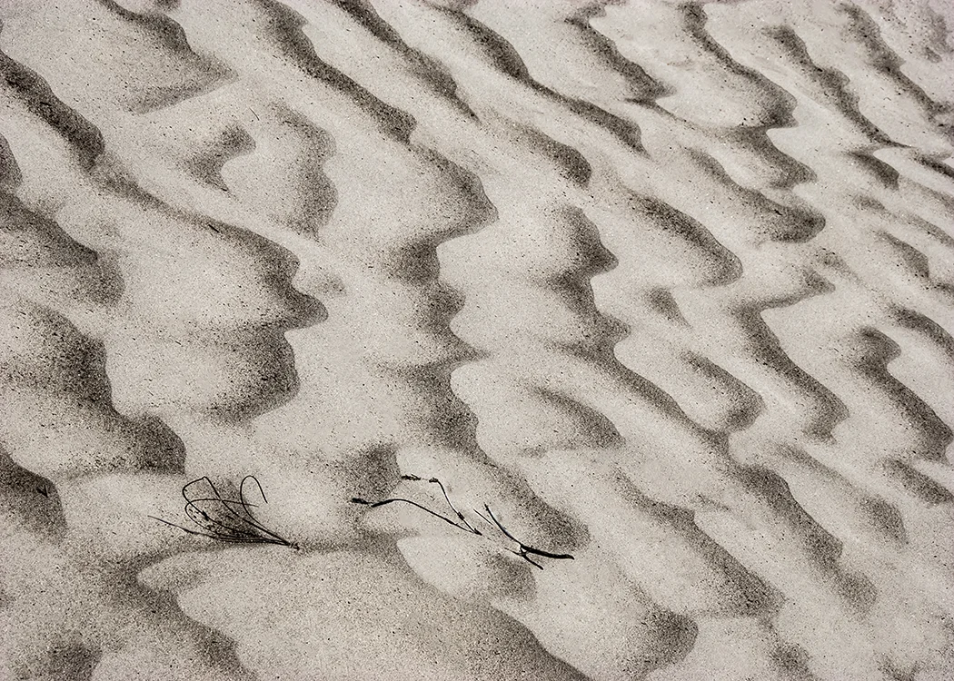 Huntington Dunes.jpg
