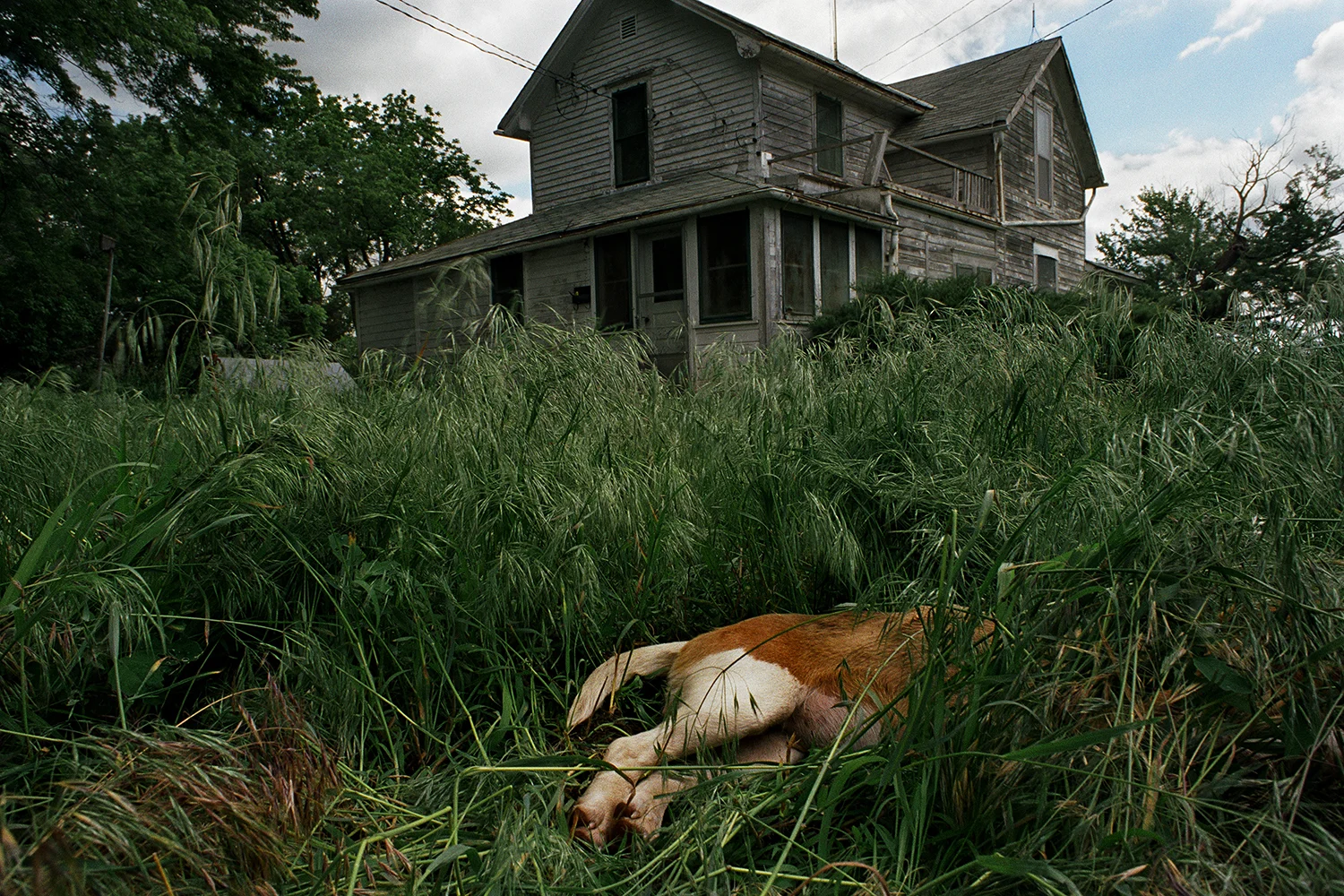 Howe, NE. 2005