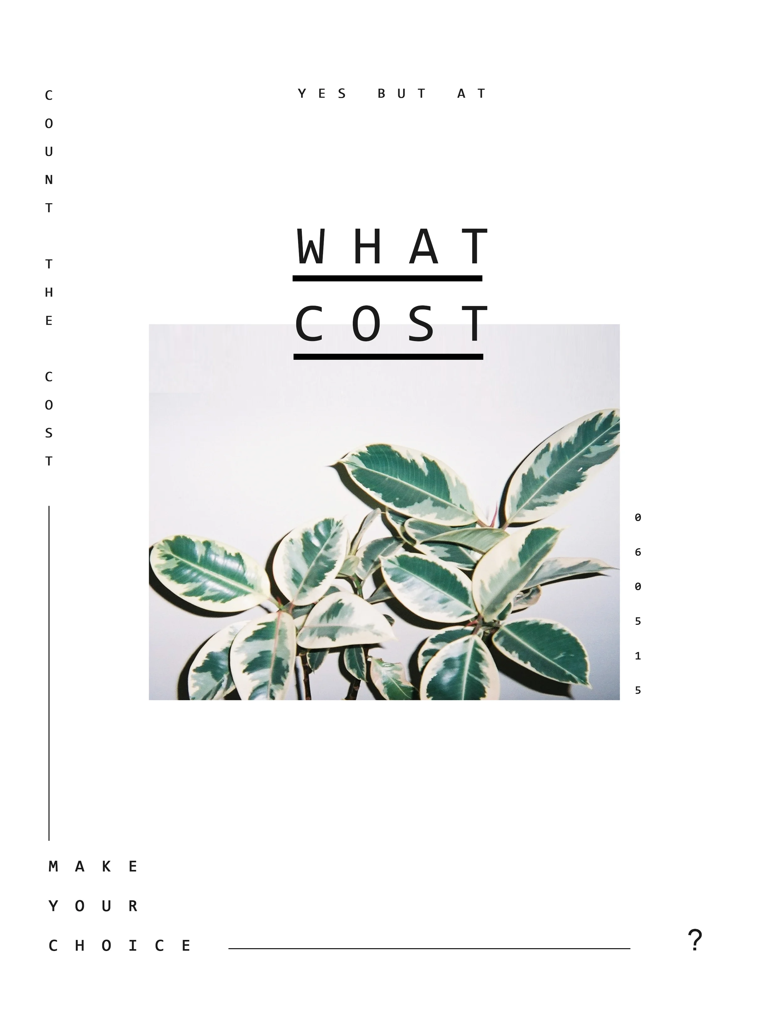 count the cost.jpg