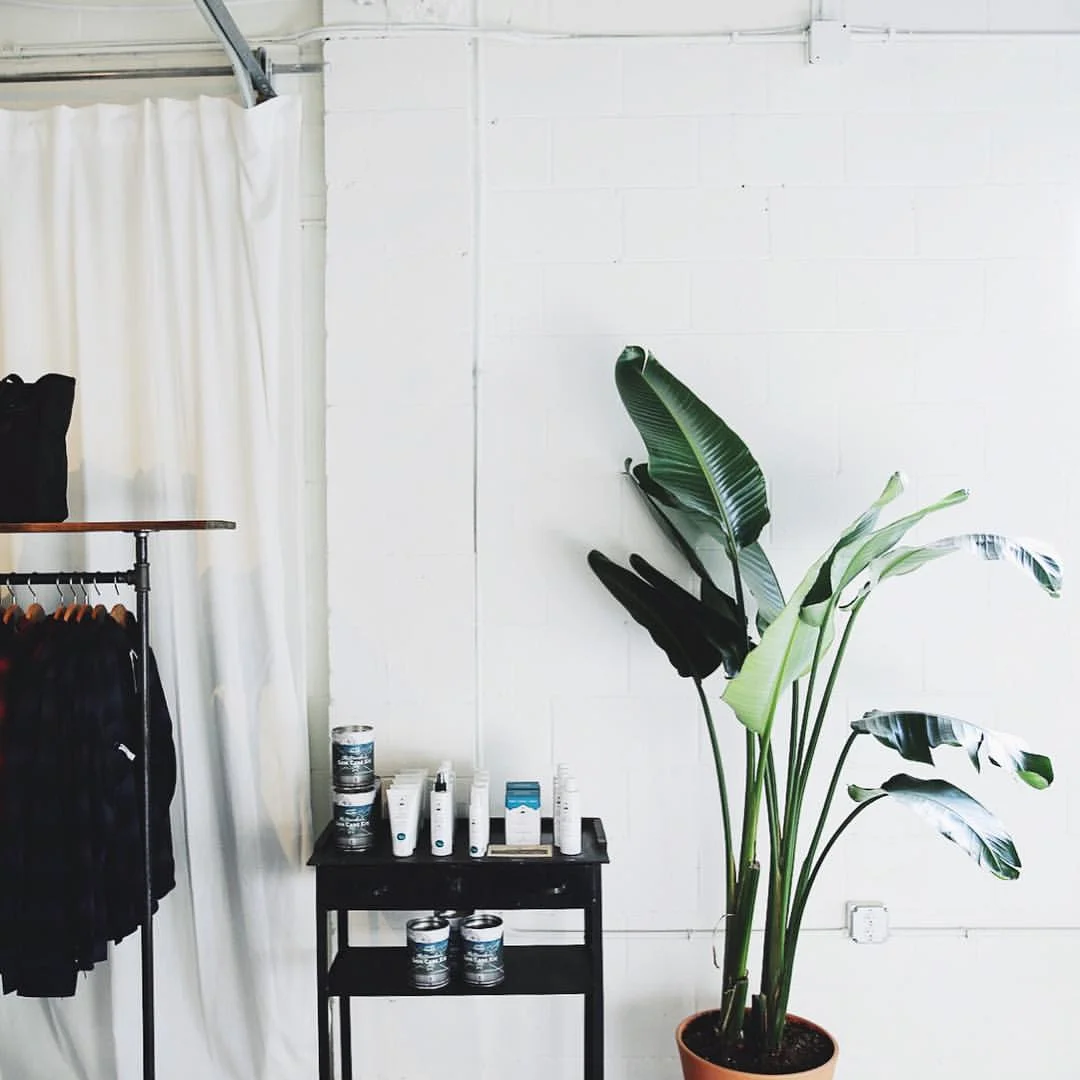 field guide plant atl.jpg