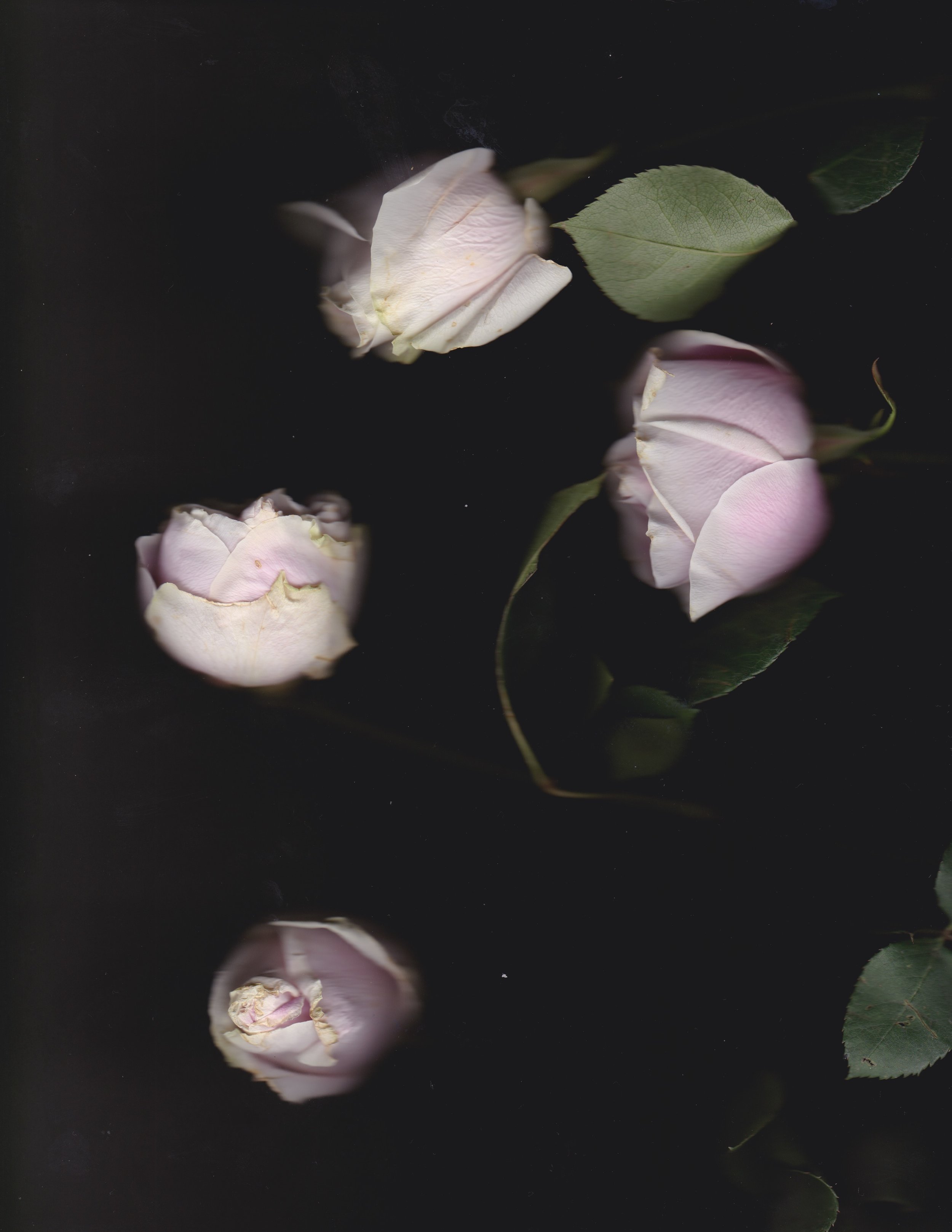 Scan 3.jpeg