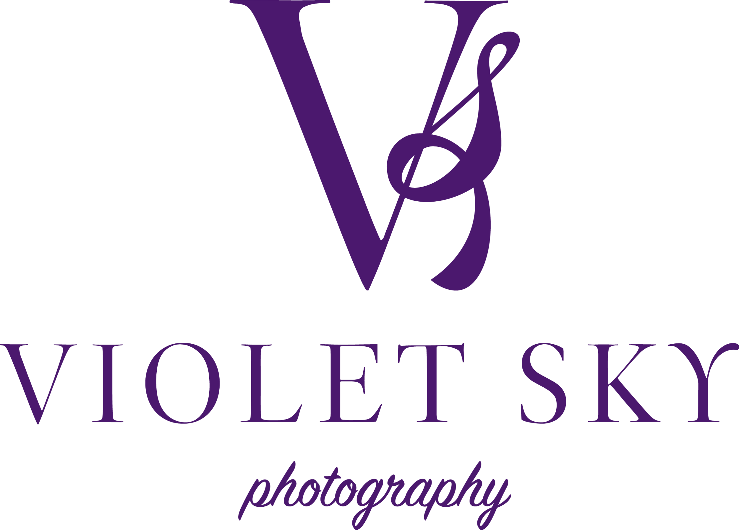 VioletskyLogo.png