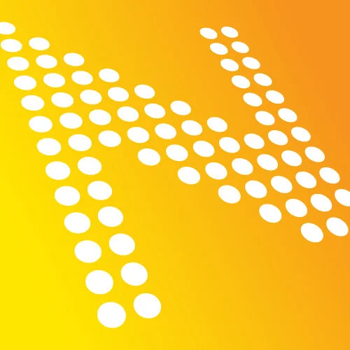 Michael Beaumont, Netsoft