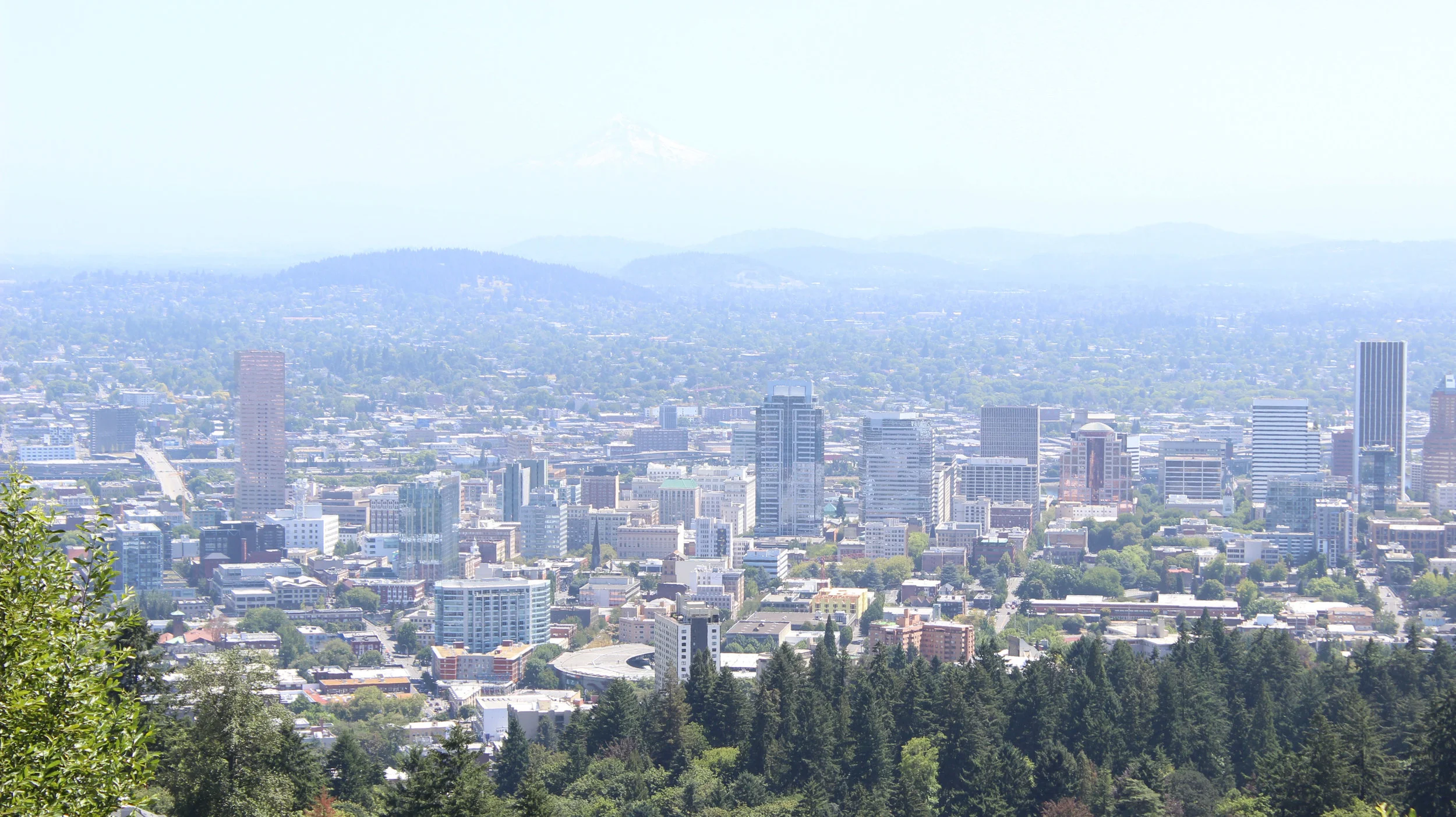 Portland.jpg
