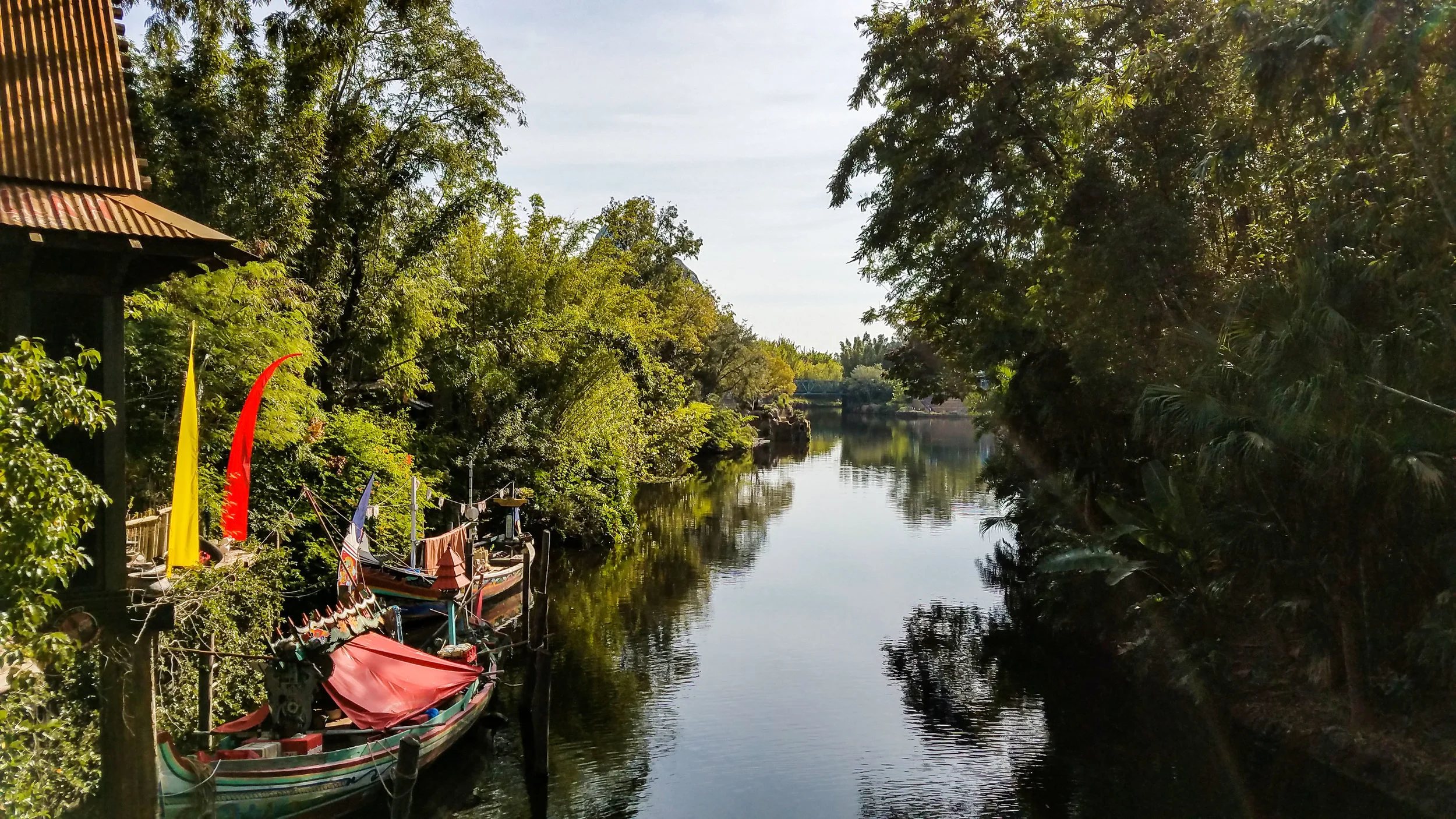 Animal Kingdom CC.jpg