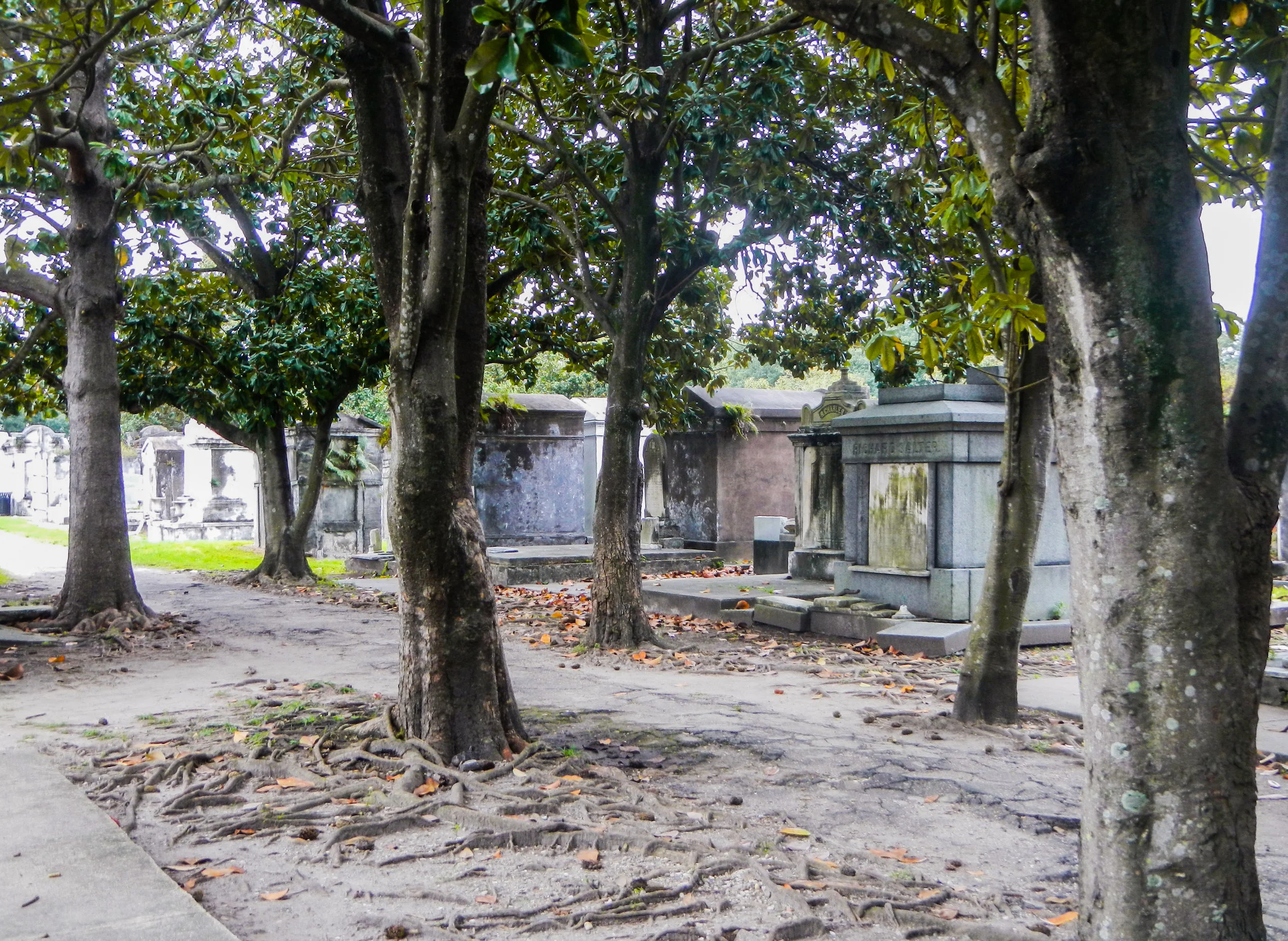 Cemetery Intro CC.jpg