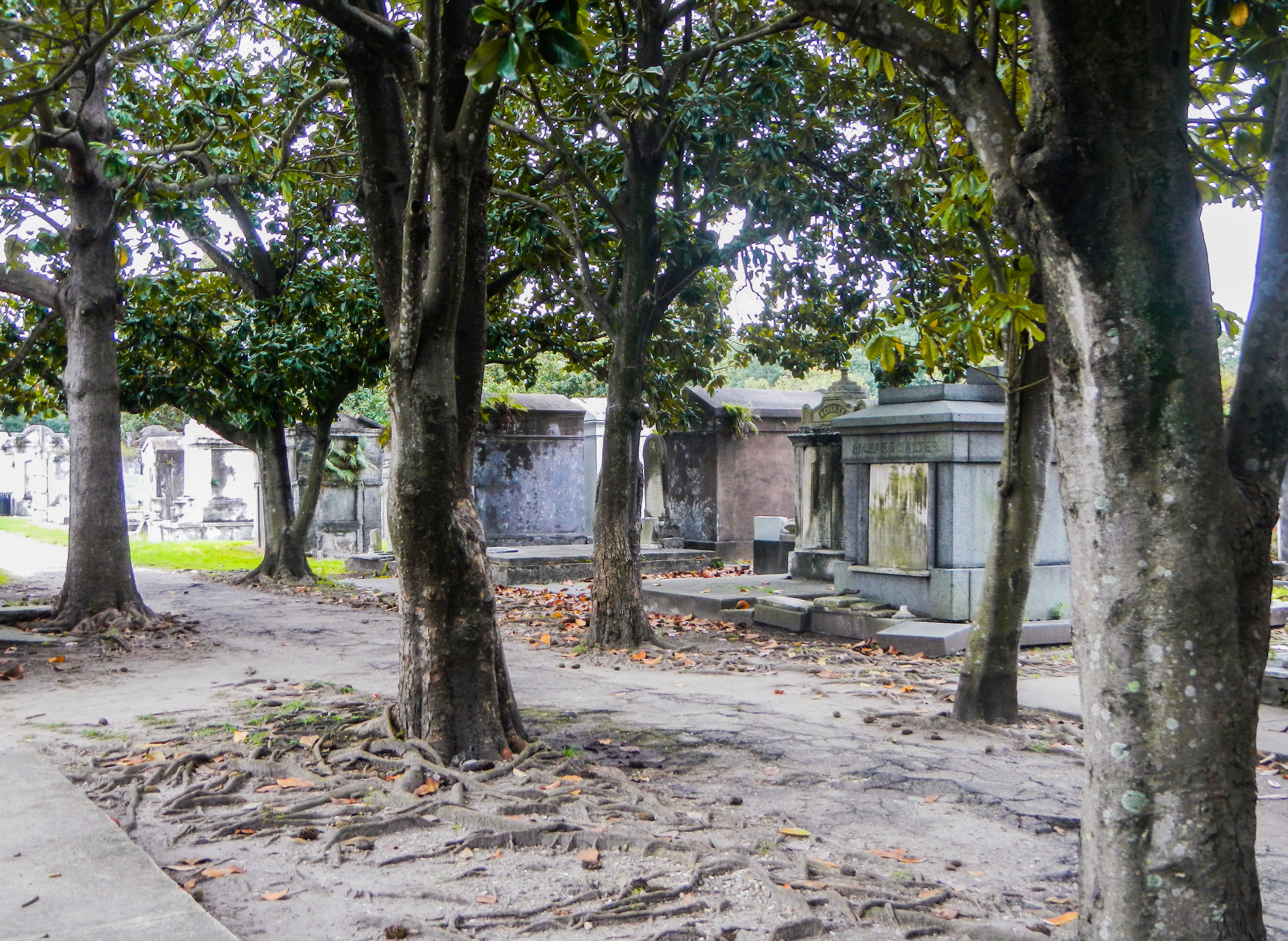 Cemetery Intro CC.jpg