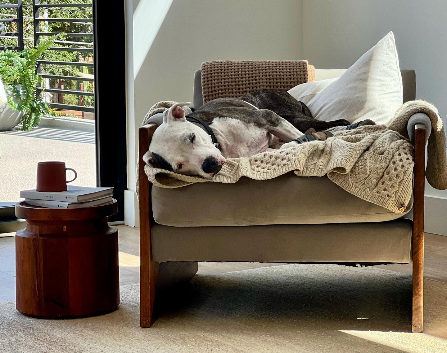 This sweetheart isn&rsquo;t ever far from every single project  I have the pleasure to work on. By far my favorite part is capturing his moments of resting while I&rsquo;m working on the job&hellip;.. 😆