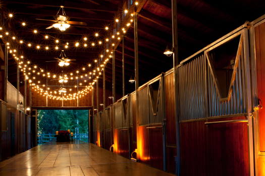 Red Cliff Ranch