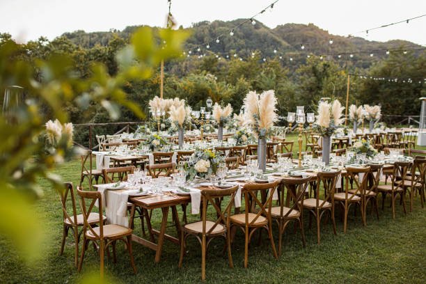  Wedding table set up in boho style with pampas grass and greenery, soft focus 