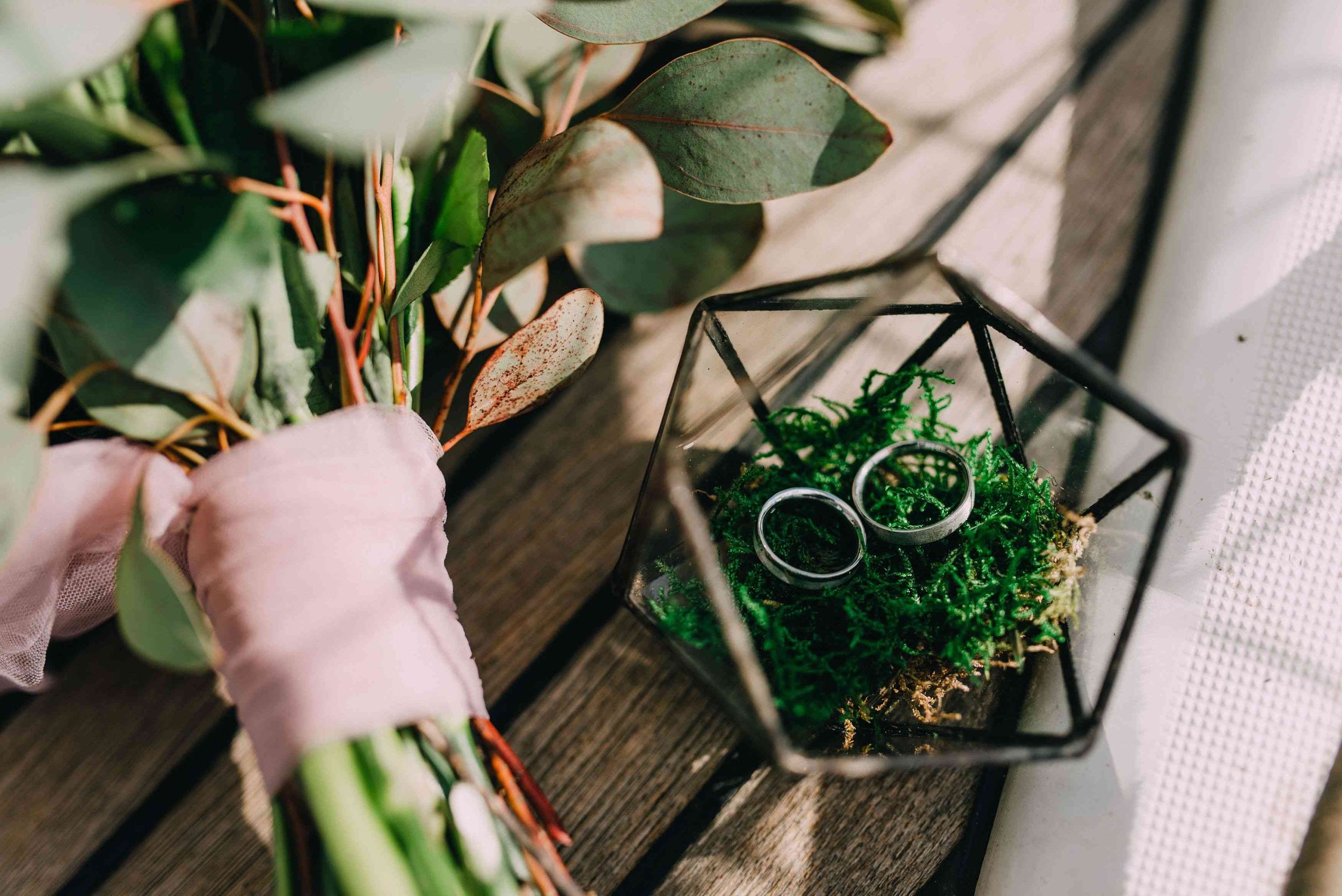 Eco friendly Wedding Planner | Terrarium rings.jpeg