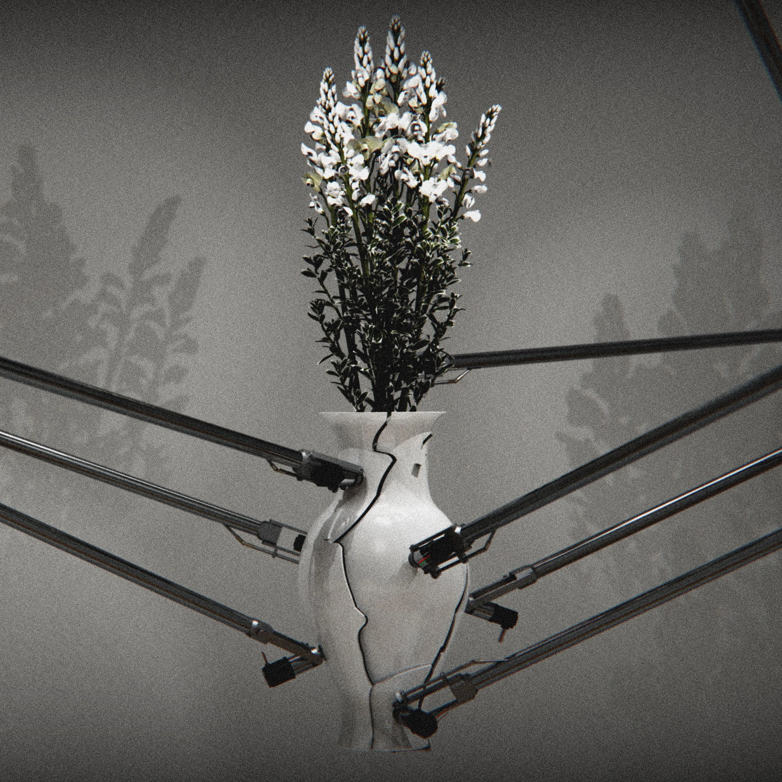 Vase-together-Joe----sqaure---no-title.jpg