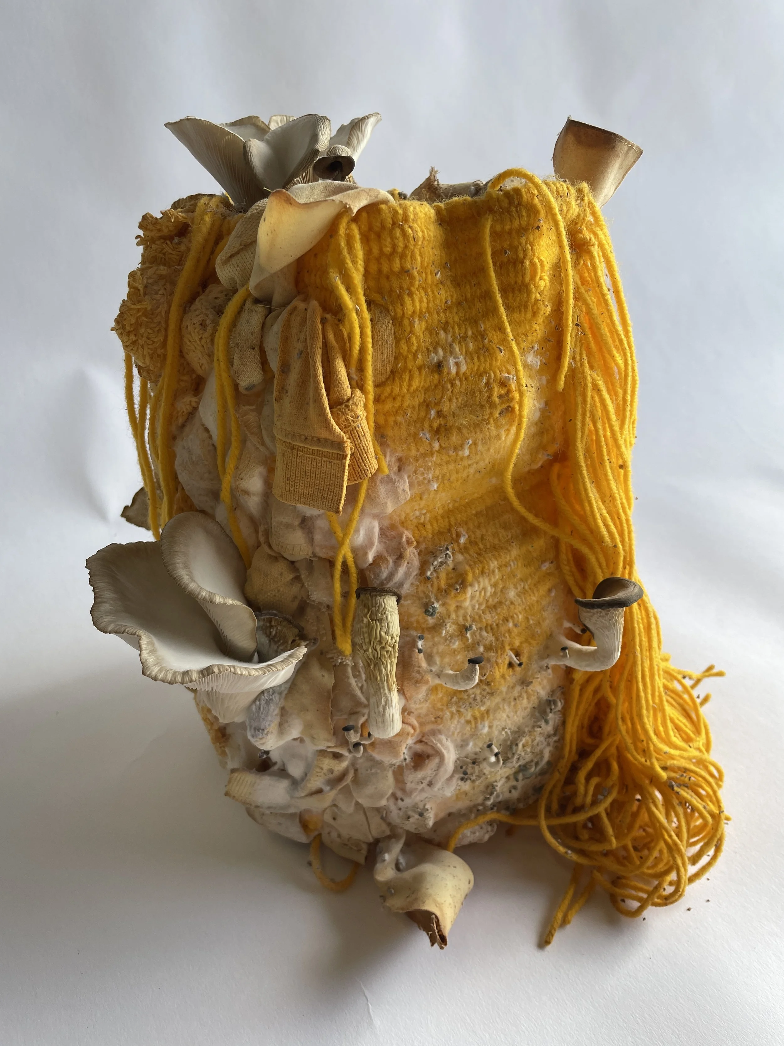 Rewoven-7.JPG