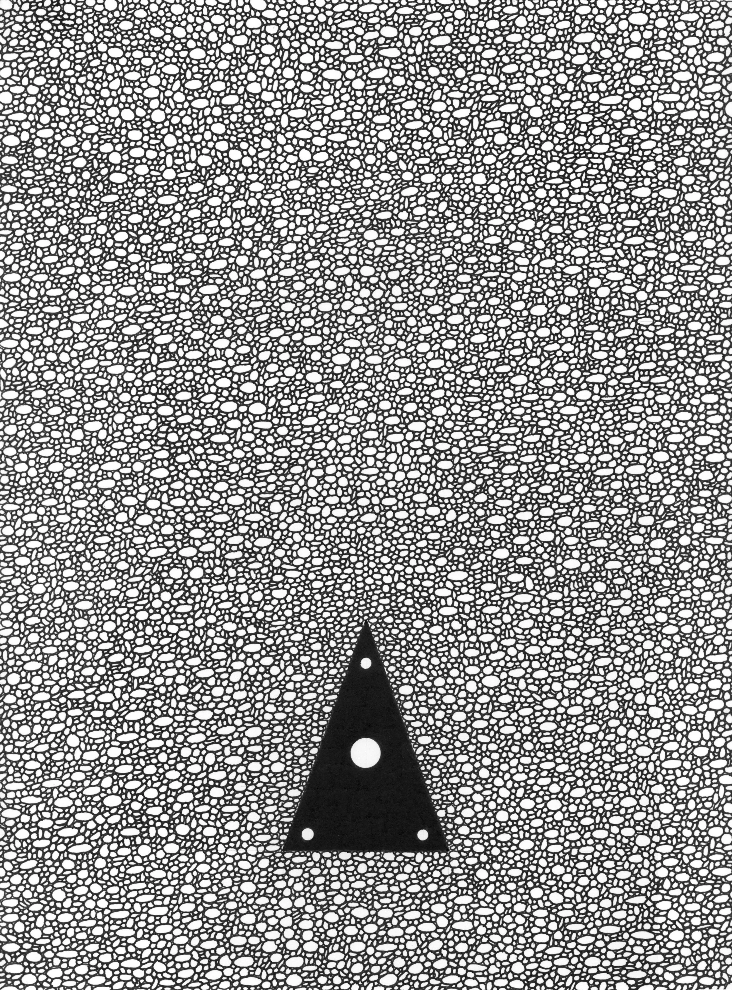 'Embedded Anamoly No.2' Graphite, Pen & Ink 9 x 12 inches 2015