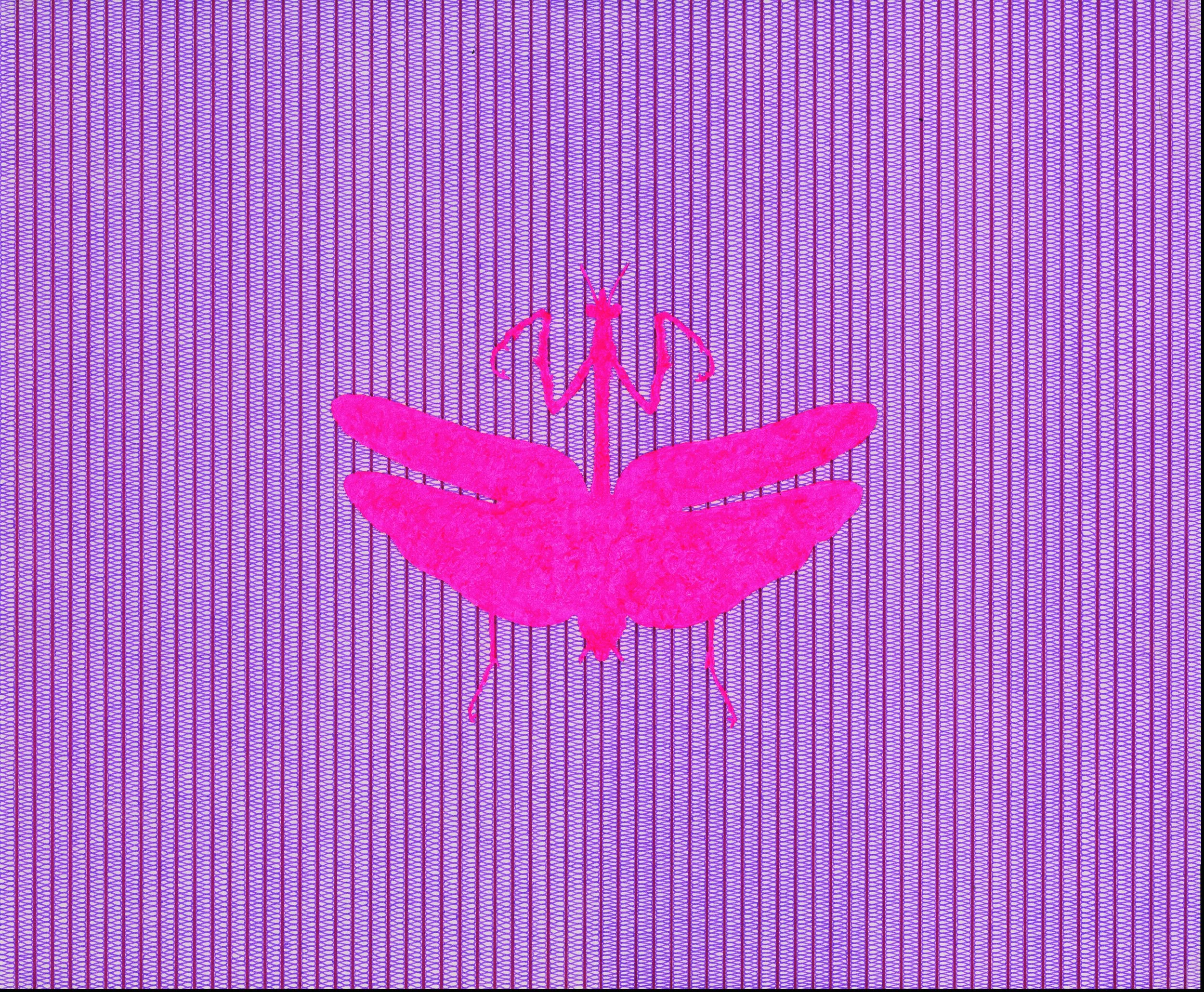 Mantid_Magenta_2023_01_Reduced.jpg