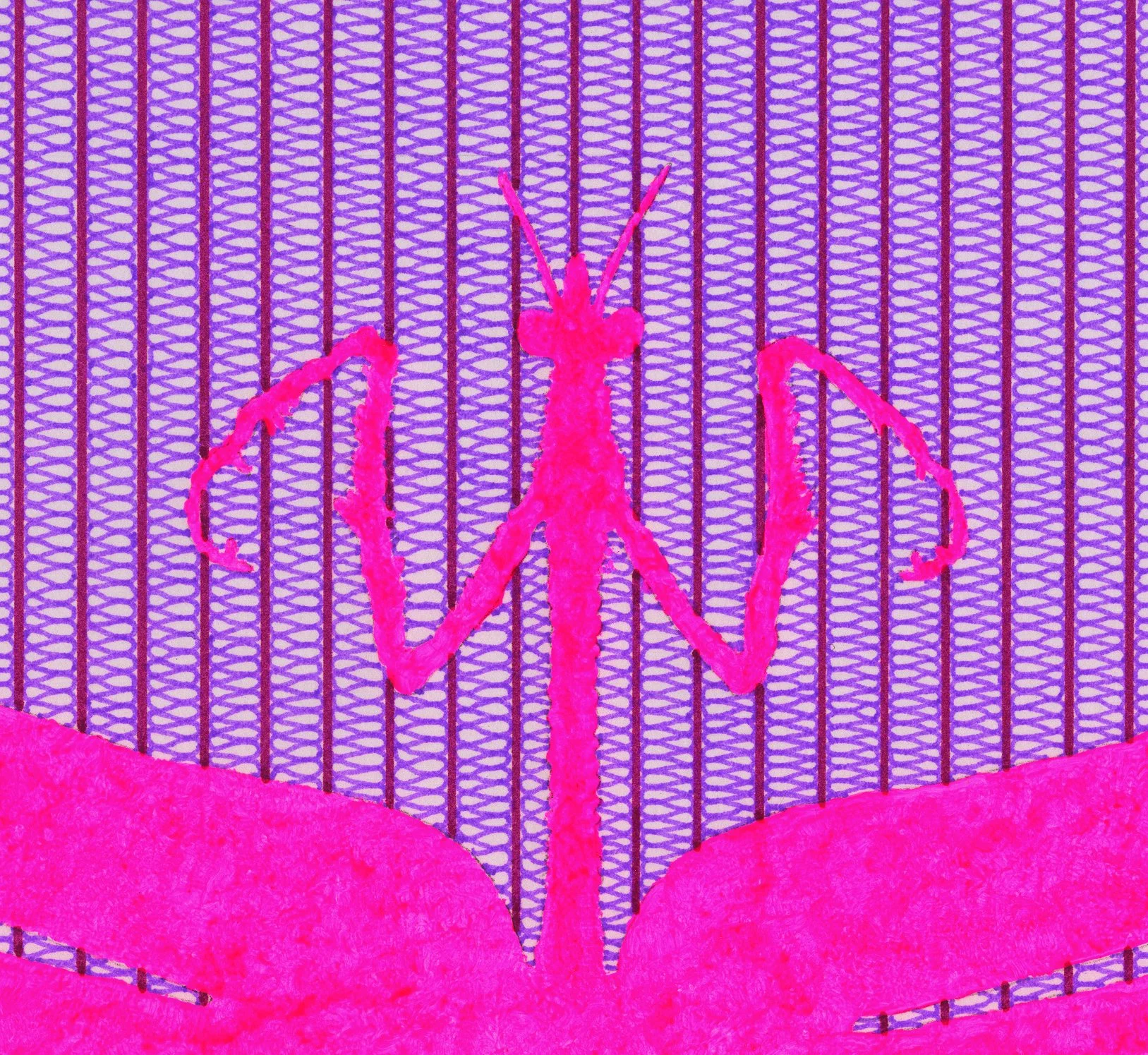 Mantid_Magenta_Detail.jpg