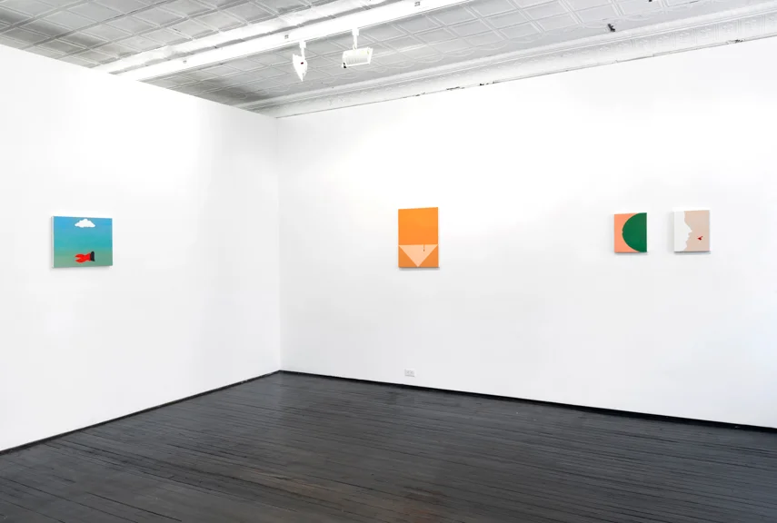 Installation view, ESS ENVY at Nichelle Beauchene, 2016