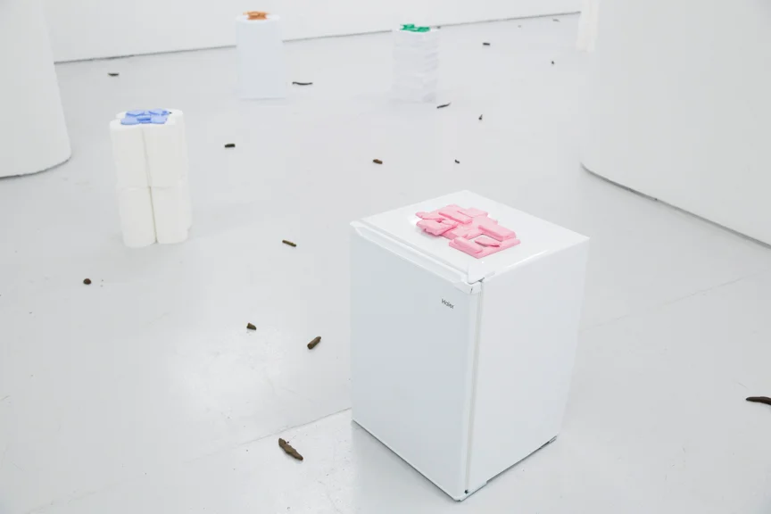 Shits & Giggles exhibition installation shot. Photo courtesy of Skylab Gallery, Columbus, Ohio.