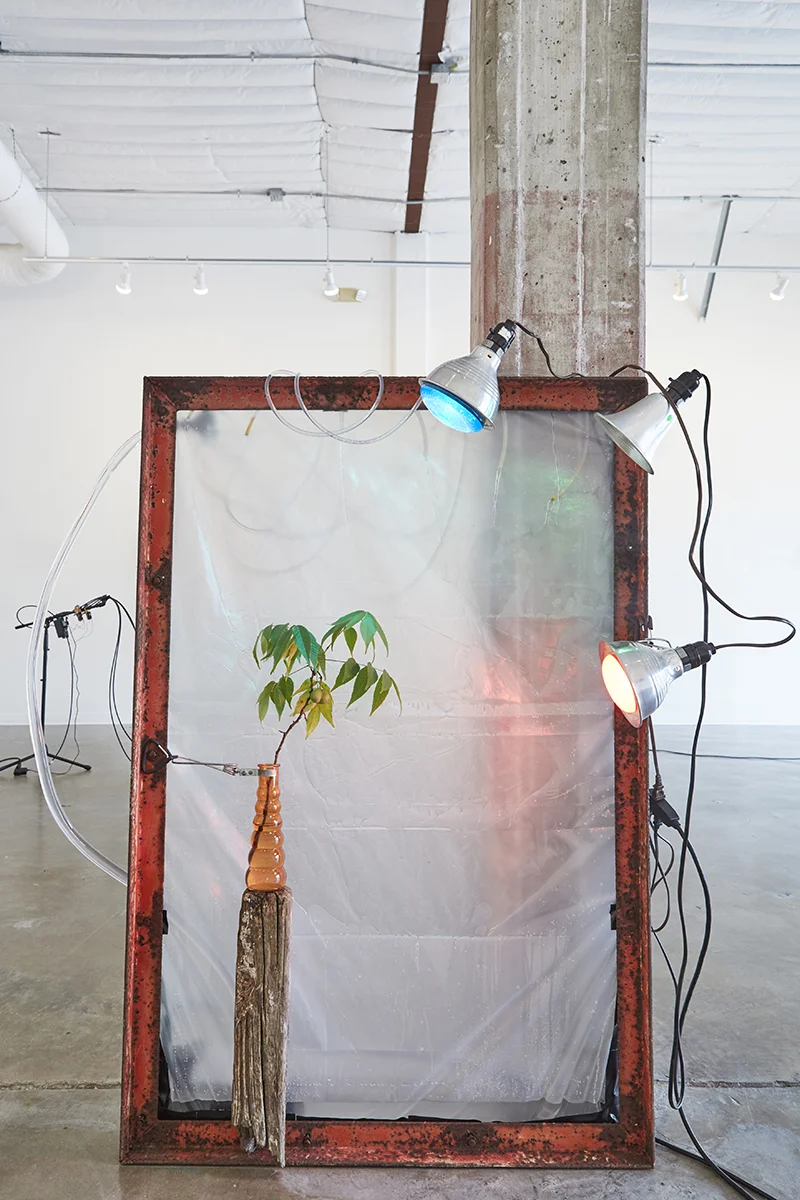 Untitled , 2017. Branch, vase, water, lights, plastic, frame, pump, dimensions variable