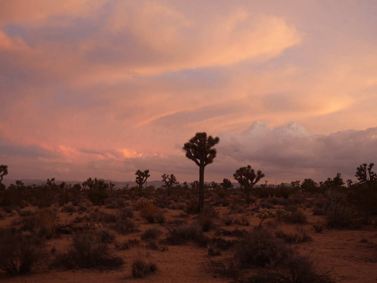 High Desert Observatory